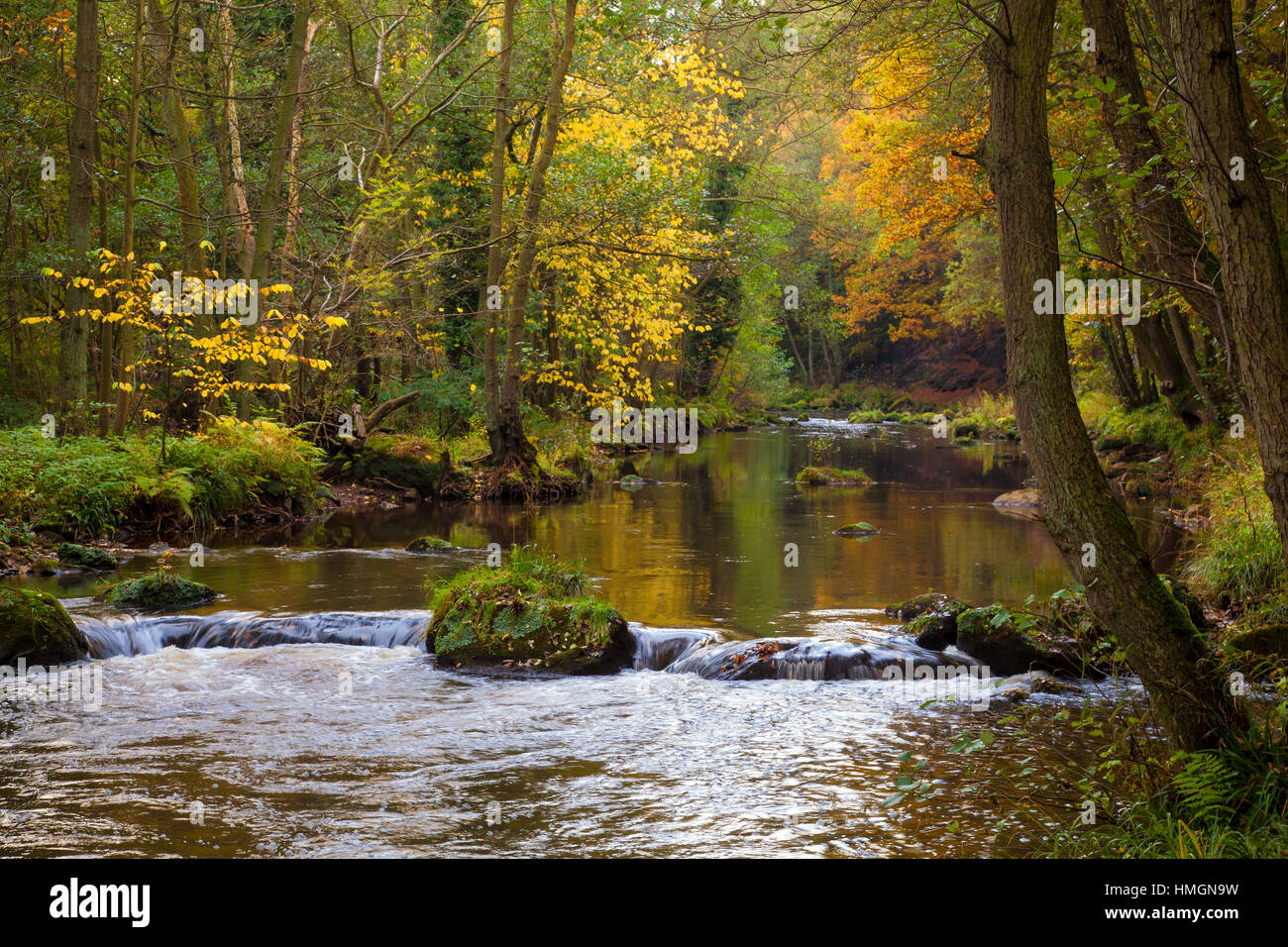 Rivière esk en automne egton Bridge north york moors national park North Yorkshire angleterre Banque D'Images