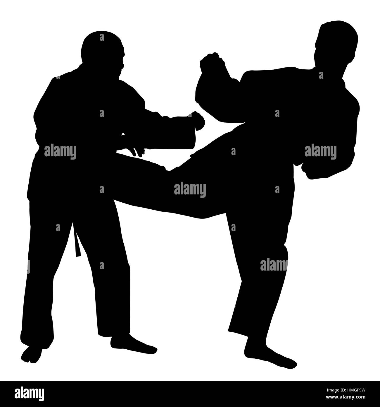 Combat de Karaté Illustration de Vecteur