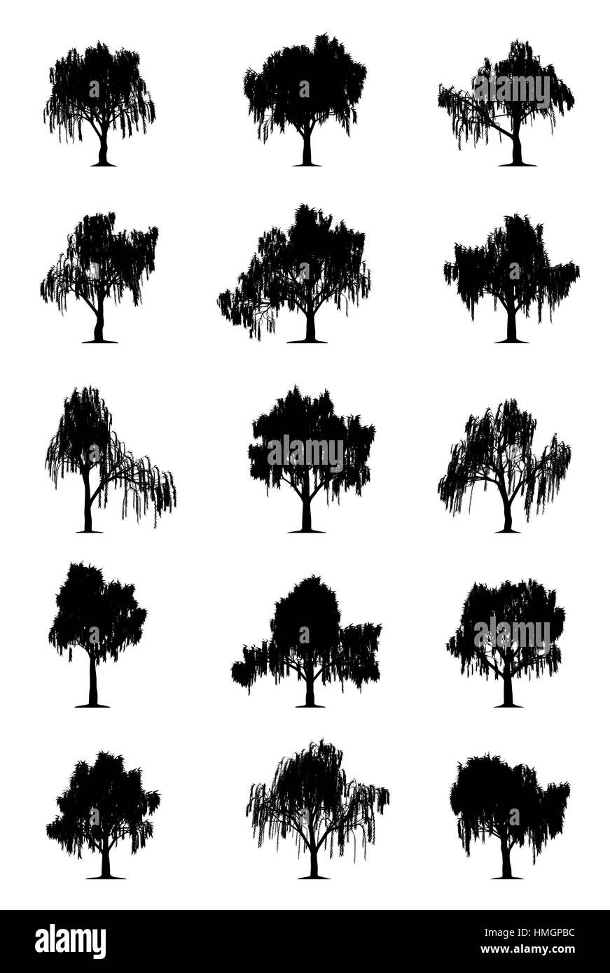 Les saules pleureurs Illustration de Vecteur