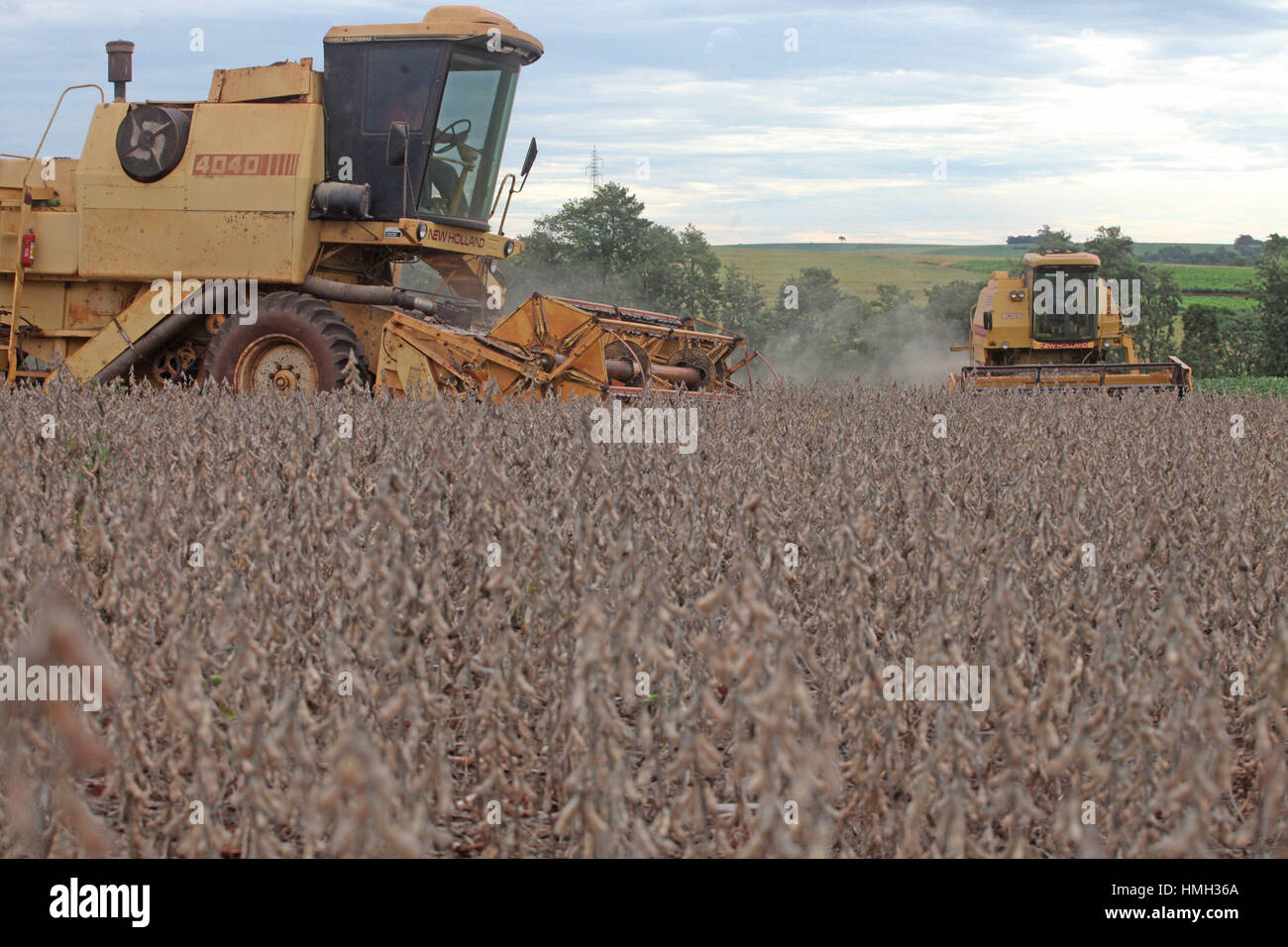 CAMPO MOURÃO, Communication - 03.02.2017 : ANIMA PRODUTIVIDADE AGRICULTORES - Le Brésil a commencé la récolte de soja, principalement, avec le pied droit dans la vente de produits à l'étranger. L'excédent (la différence entre les exportations et les importations) des ventes aux étrangers a été US $ 2,725 milliards - croissance de 20,6  % par rapport à janvier 2016. L'annonce a été faite par le ministère de l'industrie, du Service et du Commerce (MDIC). Les ventes de produits de base 6,787 milliards $ US ont totalisé, en hausse de 30 % par rapport à janvier 2016. Dans cette comparaison, les ventes de soja a augmenté. São Paulo, dans la région du Centre-Ouest de Paraná, les agriculteurs sont heureux de Banque D'Images