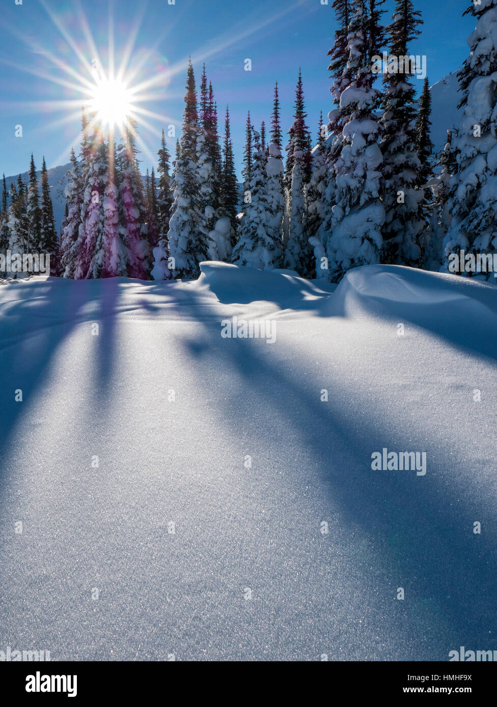 Paysage hiver neige Esplanade ; Plage ; plage de Selkirk ; British Columbia, Canada Banque D'Images