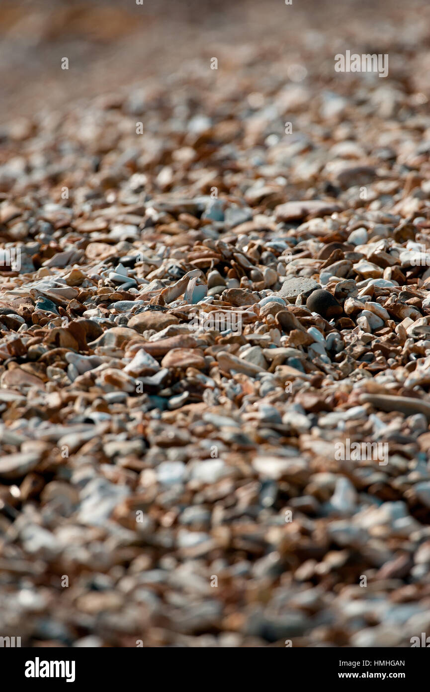 Stokes Bay Beach, dans la région du Solent qui se trouve juste au sud de Gosport, entre Portsmouth et Lee-sur-le-Solent, Hampshire, Royaume-Uni Banque D'Images