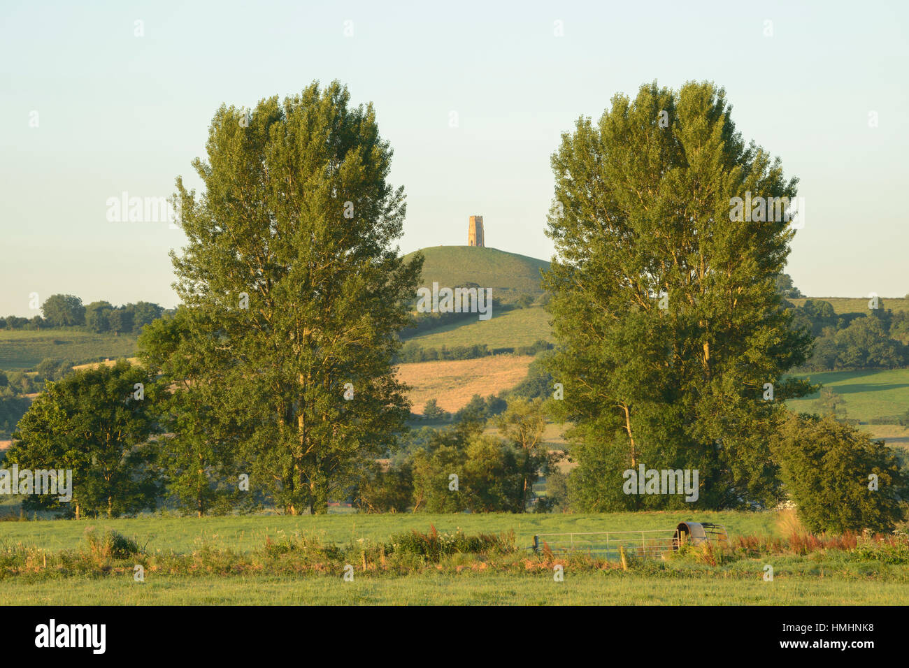 Tor de Glastonbury, Somerset, sur un matin d'été chaud. Banque D'Images