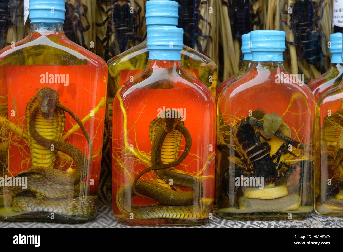 Alcool de serpent Banque de photographies et d'images à haute résolution -  Alamy