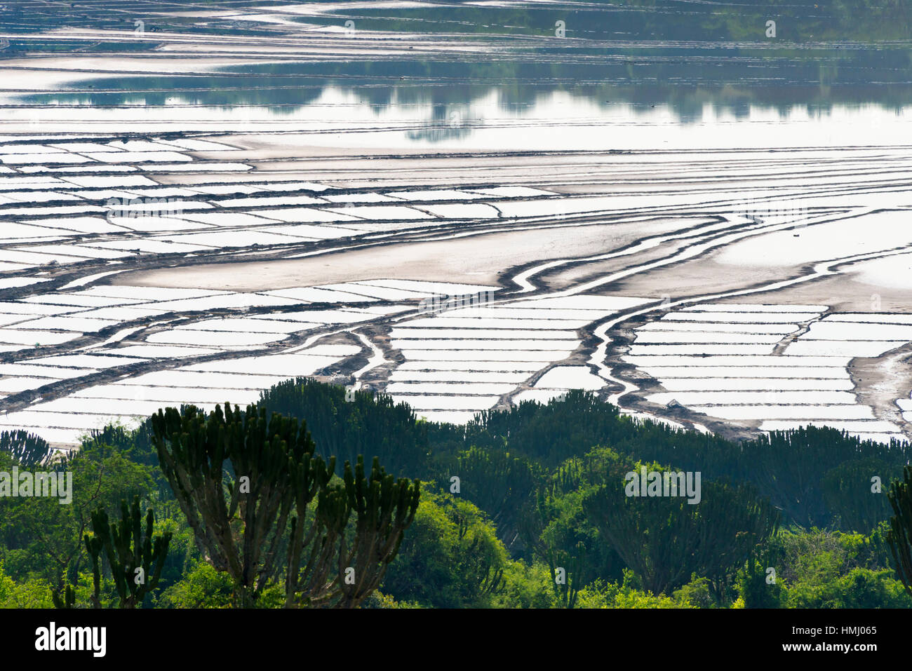 L'exploitation minière du sel sur le lac, le Parc National de la reine Elizabeth II, en Ouganda Banque D'Images
