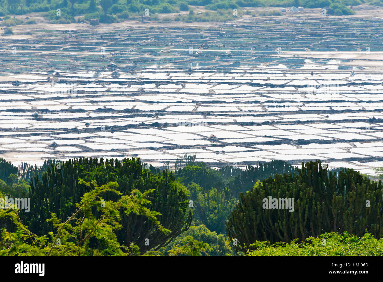 L'exploitation minière du sel sur le lac, le Parc National de la reine Elizabeth II, en Ouganda Banque D'Images