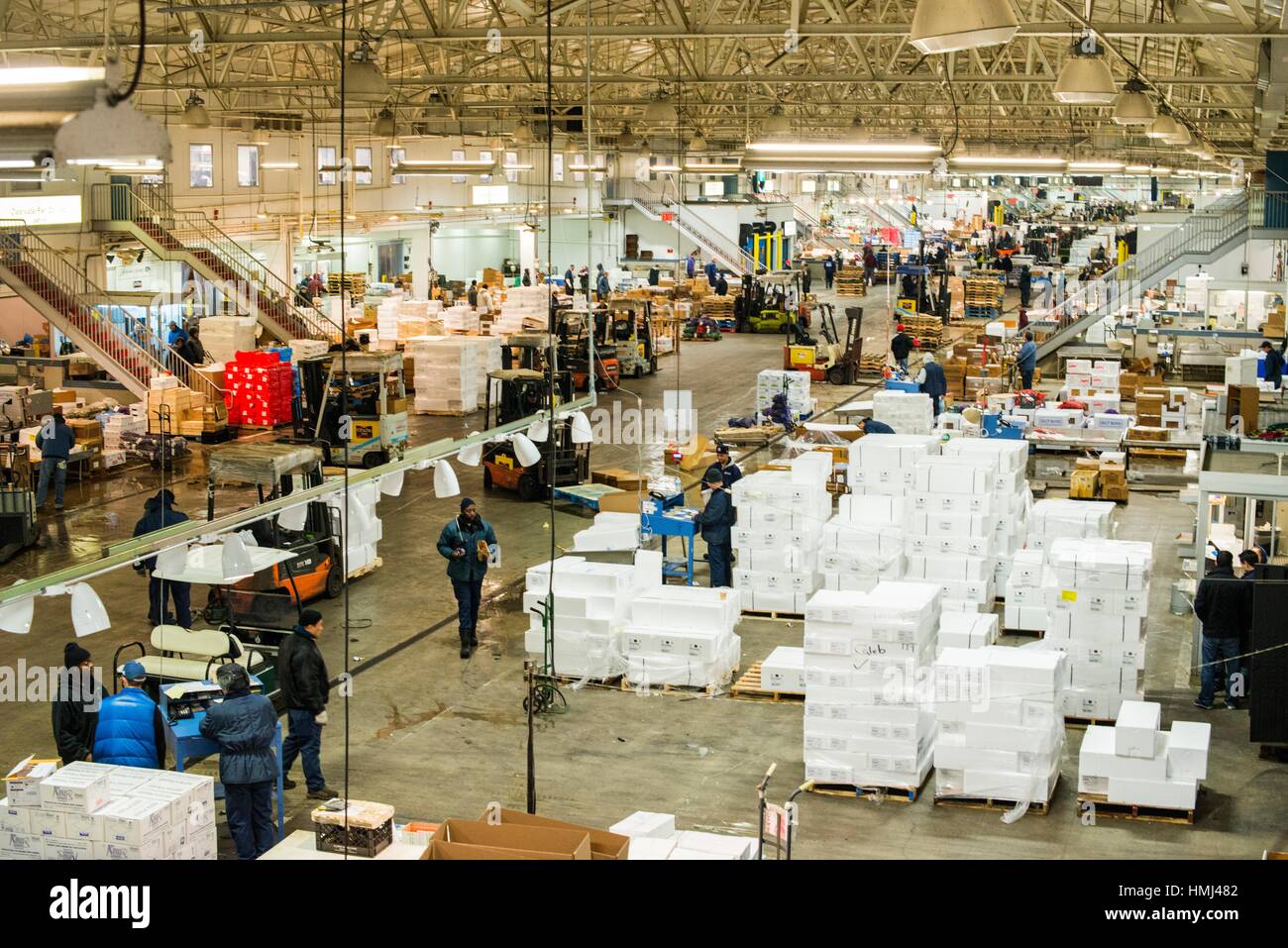New York City, USA. Intérieur du nouveau Fulton Fish Market, Hunts