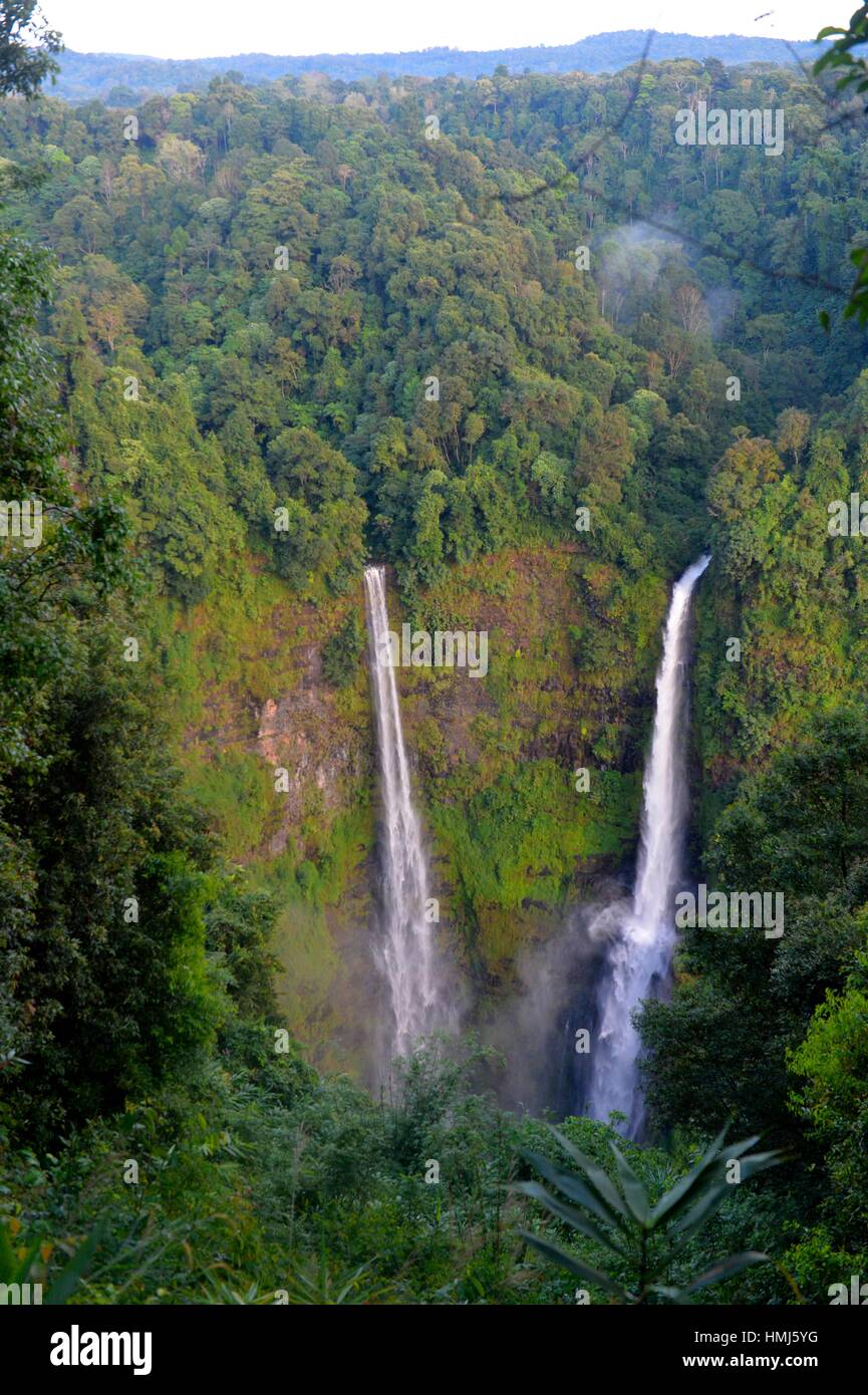 Cascade de Tad Fane, Boloven, Laos, Asie du Sud Est. Banque D'Images