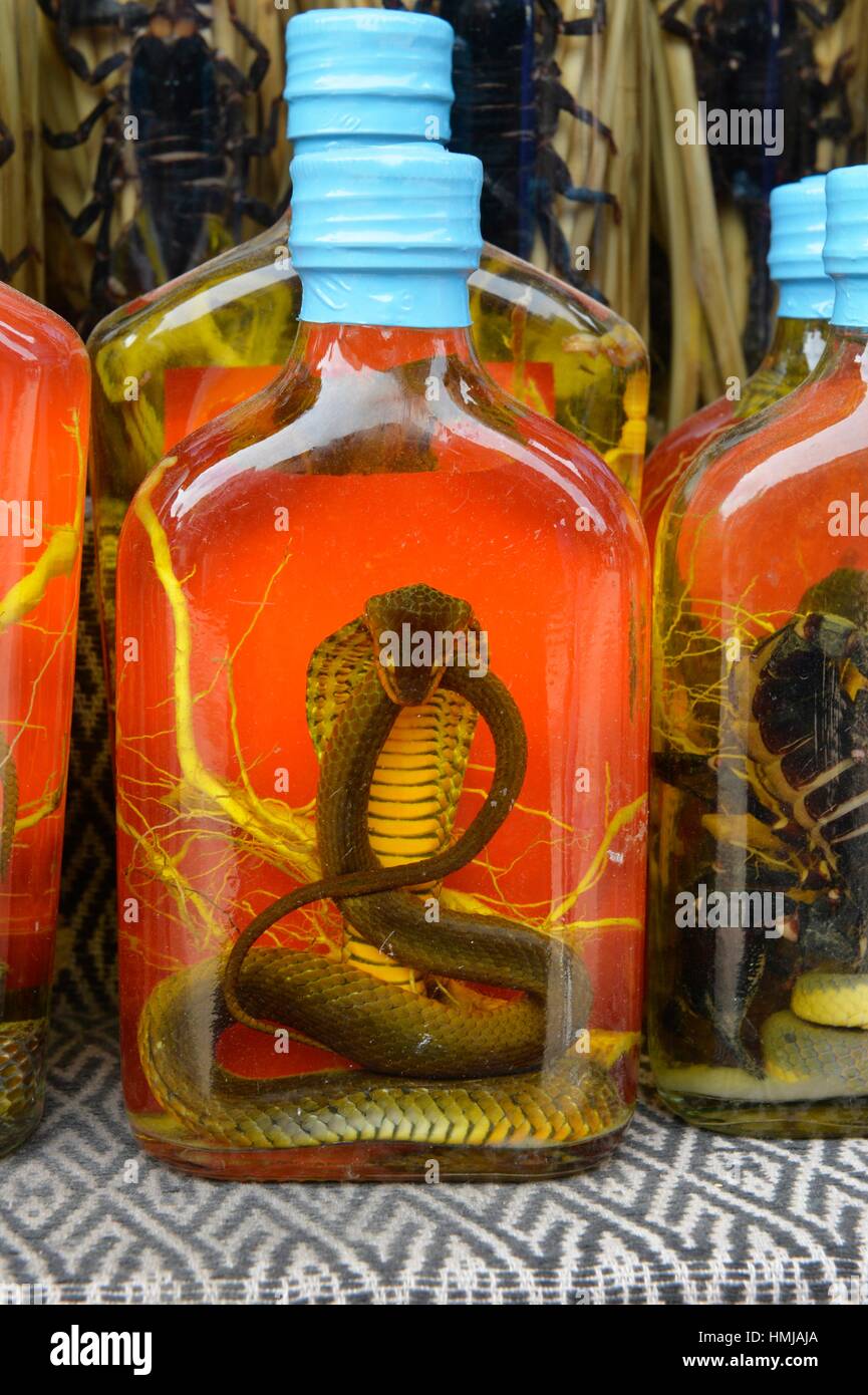 L'alcool de serpent au Laos, Asie du Sud Est Photo Stock - Alamy