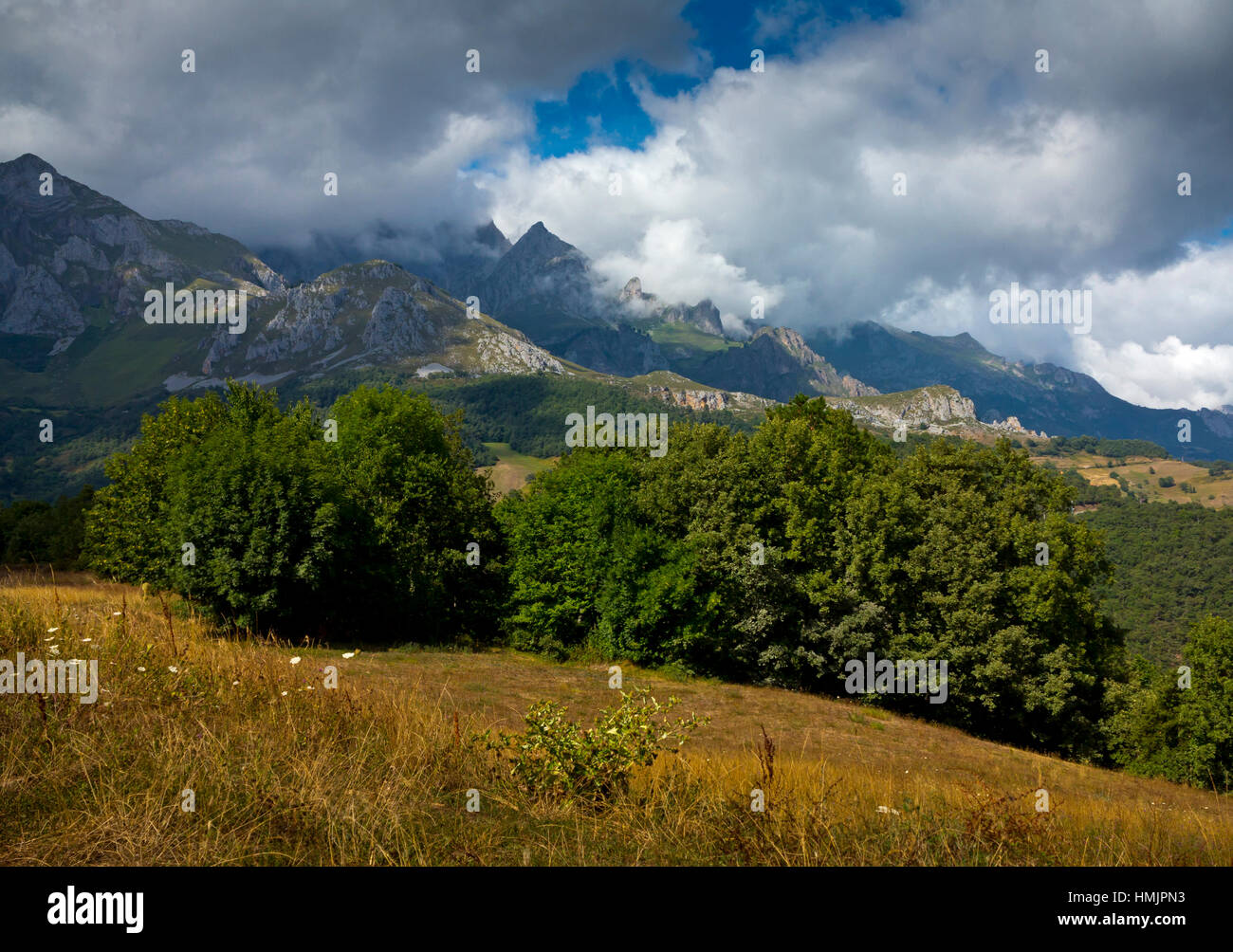 Paysage de montagne à Mogrovejo dans le Parc National de Picos de Europa Cantabria Espagne du nord Banque D'Images