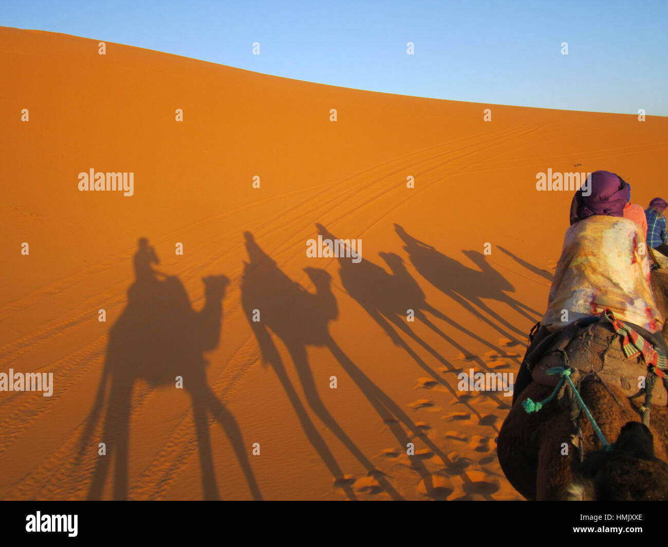 Dans le grand sud du Sahara, trekking de chameau à un Touareg desert camp. Le Maroc, Merzouga. La randonnée chamelière déserts de sud marocain Banque D'Images