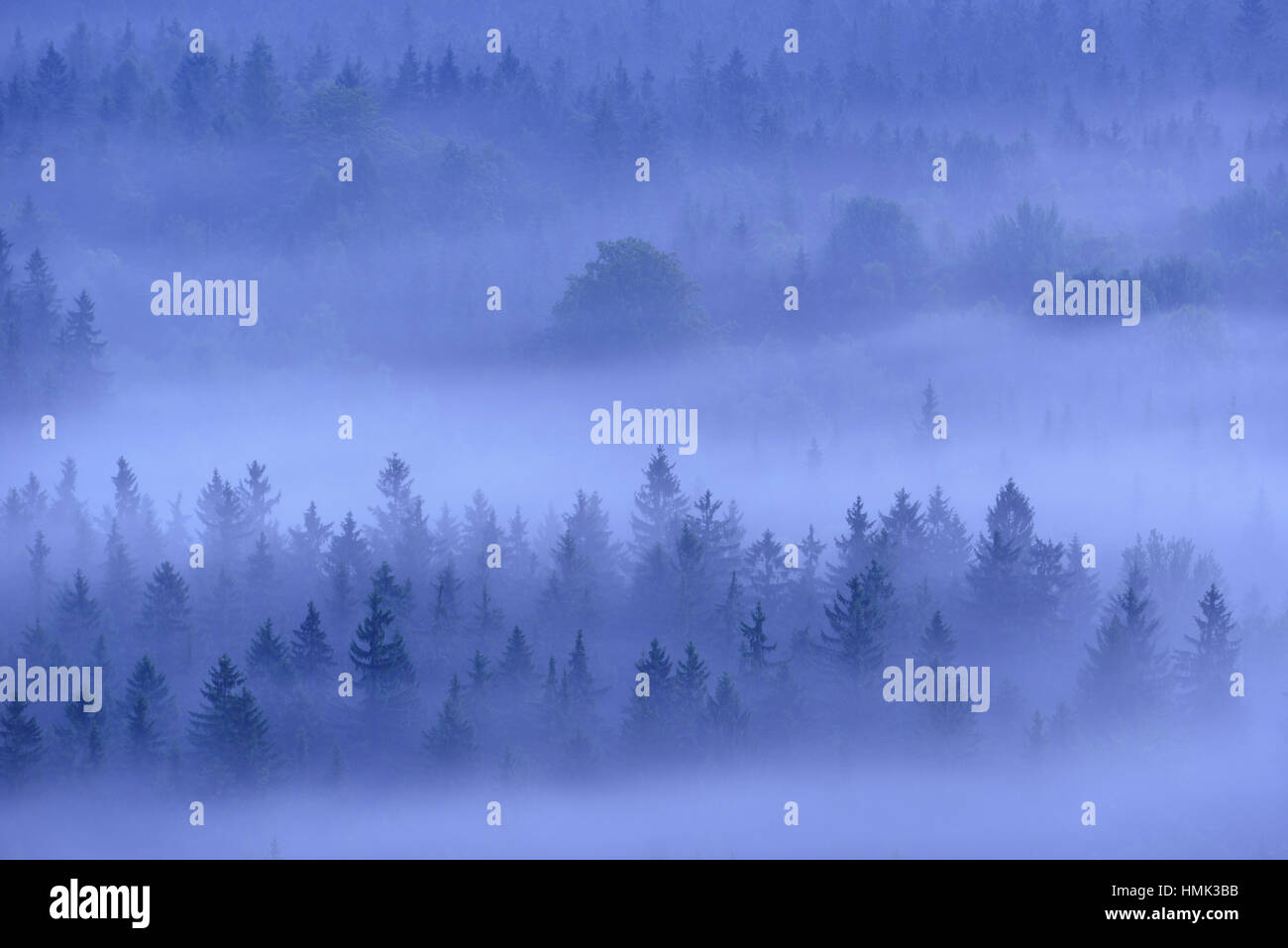 Vue de Kleiner Winterberg, brouillard sur forêt en Schandt, montagnes de grès de l'Elbe, la Suisse Saxonne, Saxe, Allemagne Banque D'Images