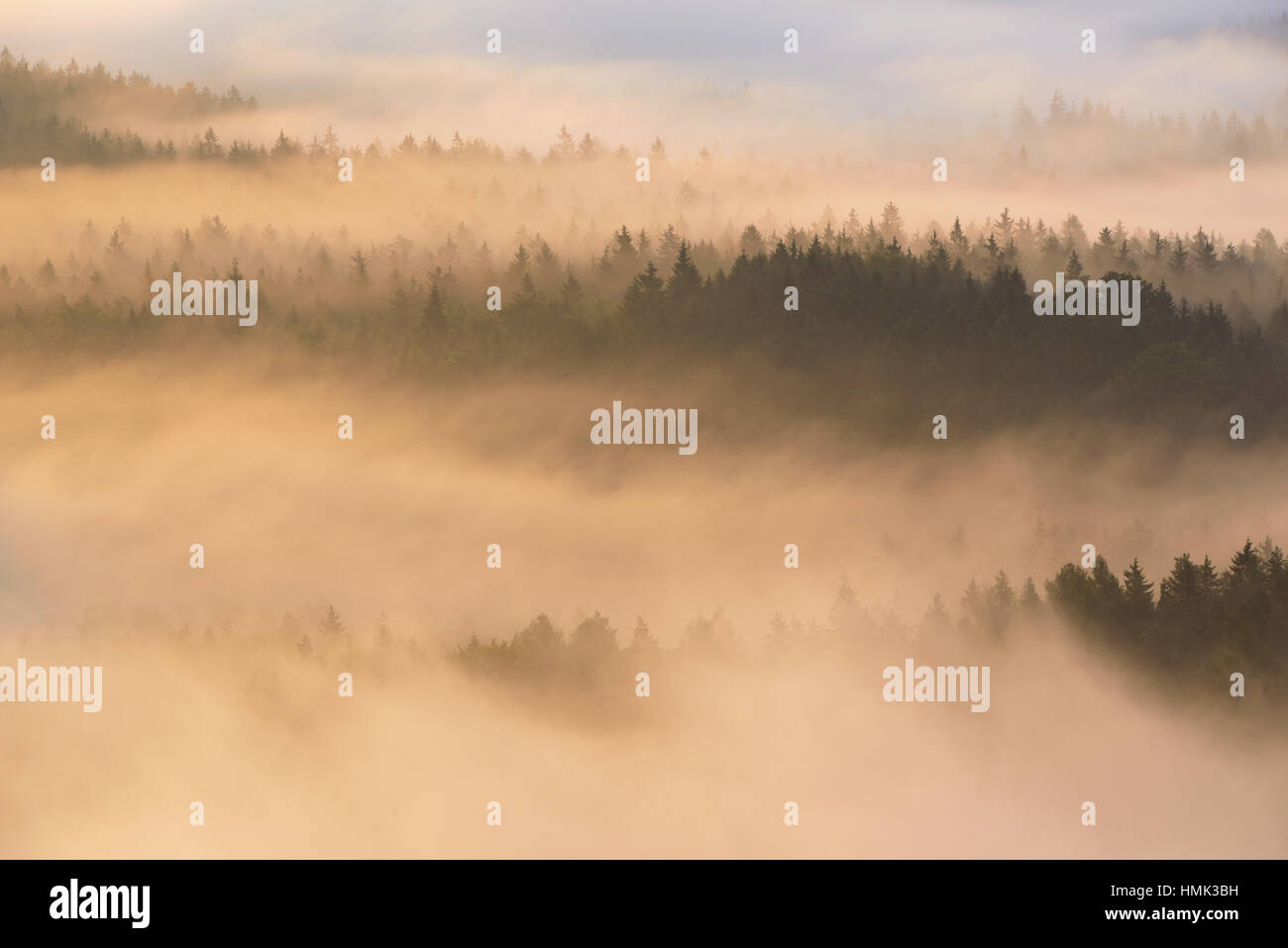 Vue de Kleiner Winterberg, brouillard sur forêt en Schandt, montagnes de grès de l'Elbe, la Suisse Saxonne, Saxe, Allemagne Banque D'Images