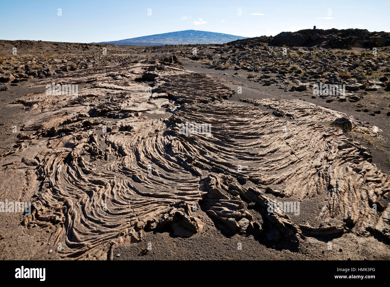 Ropy solidifiée de la lave, volcan bouclier Skjaldbreiður à l'arrière, de l'Islande Banque D'Images