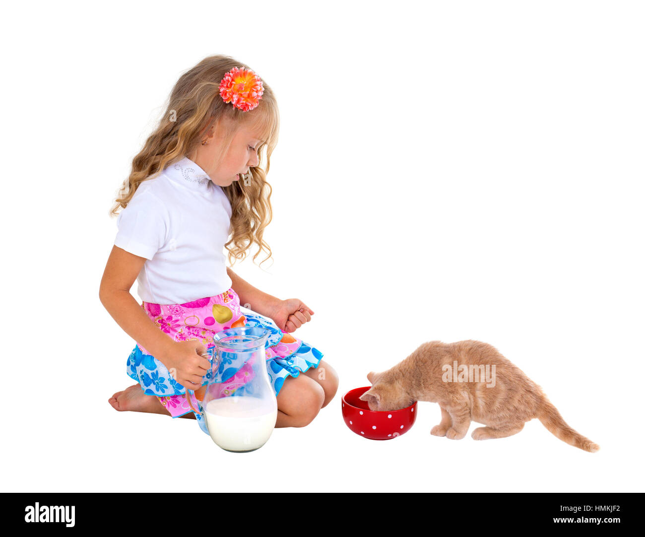 Cute little girl cat rouge d'alimentation avec du lait. Isolé sur fond blanc Banque D'Images