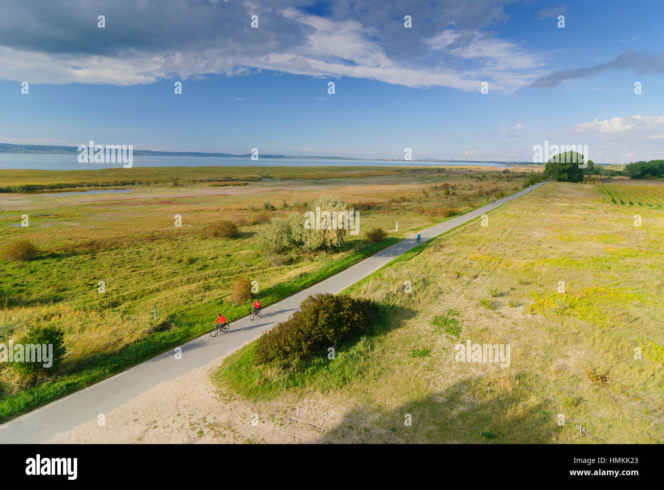 Illmitz : vue sur reet - Parc national de Neusiedler See - Seewinkel, lac (lac de Neusiedl), Burgenland, Autriche Banque D'Images