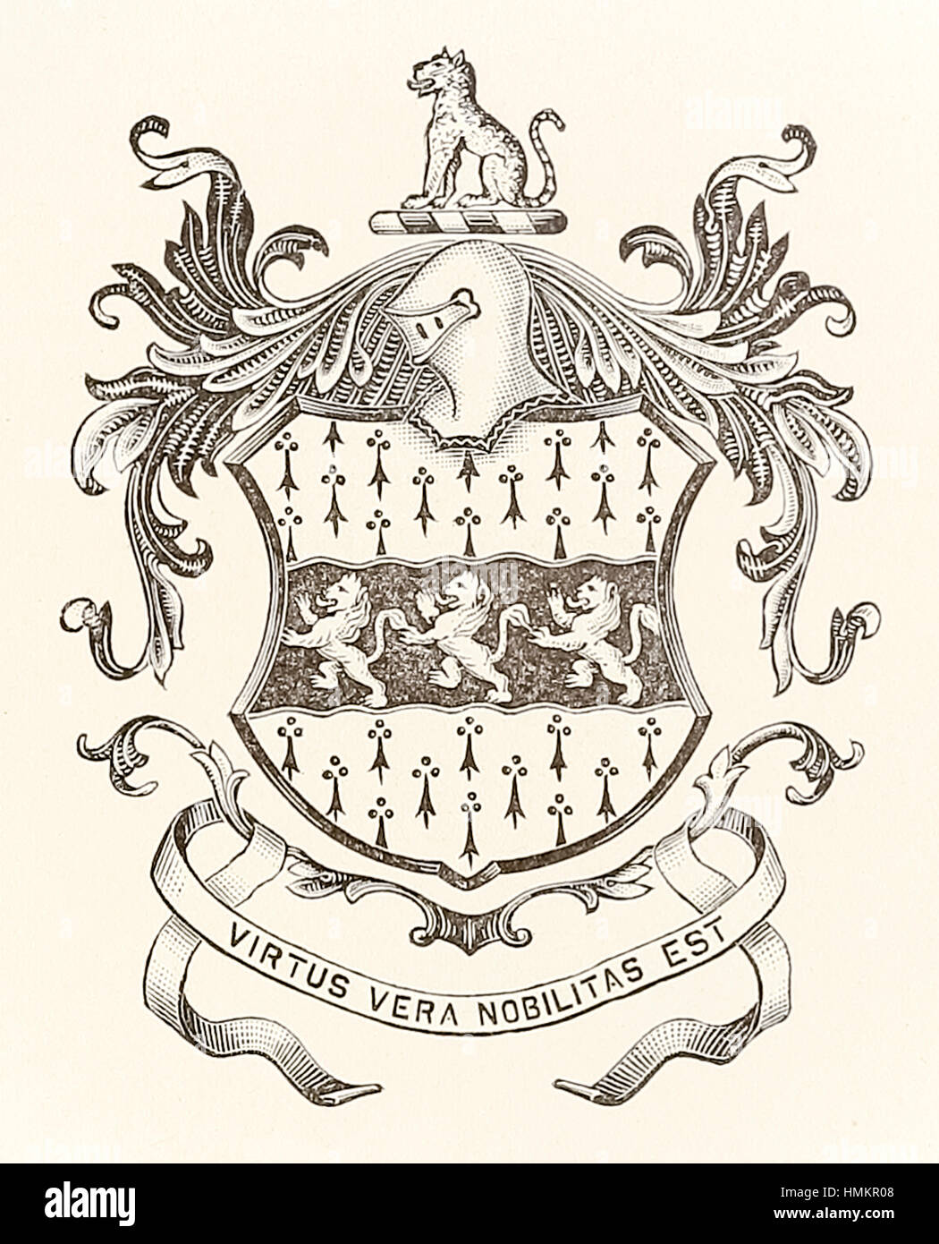 Réalisation d'Héraldique William Mather de Salop (Shropshire, Angleterre) avec 3 lions et la devise "Virtus Vera Nobilitas Est' (la noblesse est la vertu) vers 1600. Banque D'Images