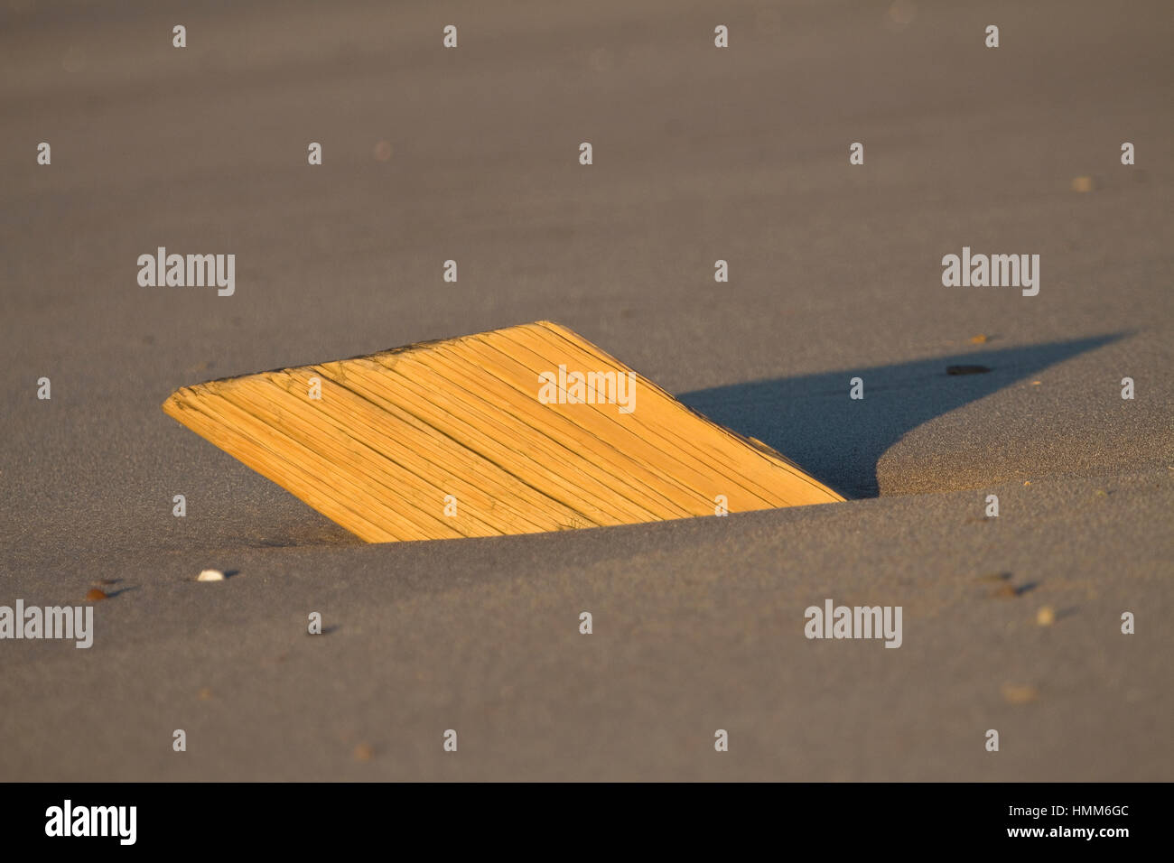 Épi en bois qui sort du sable à rejeter Point, East Yorkshire, UK Banque D'Images