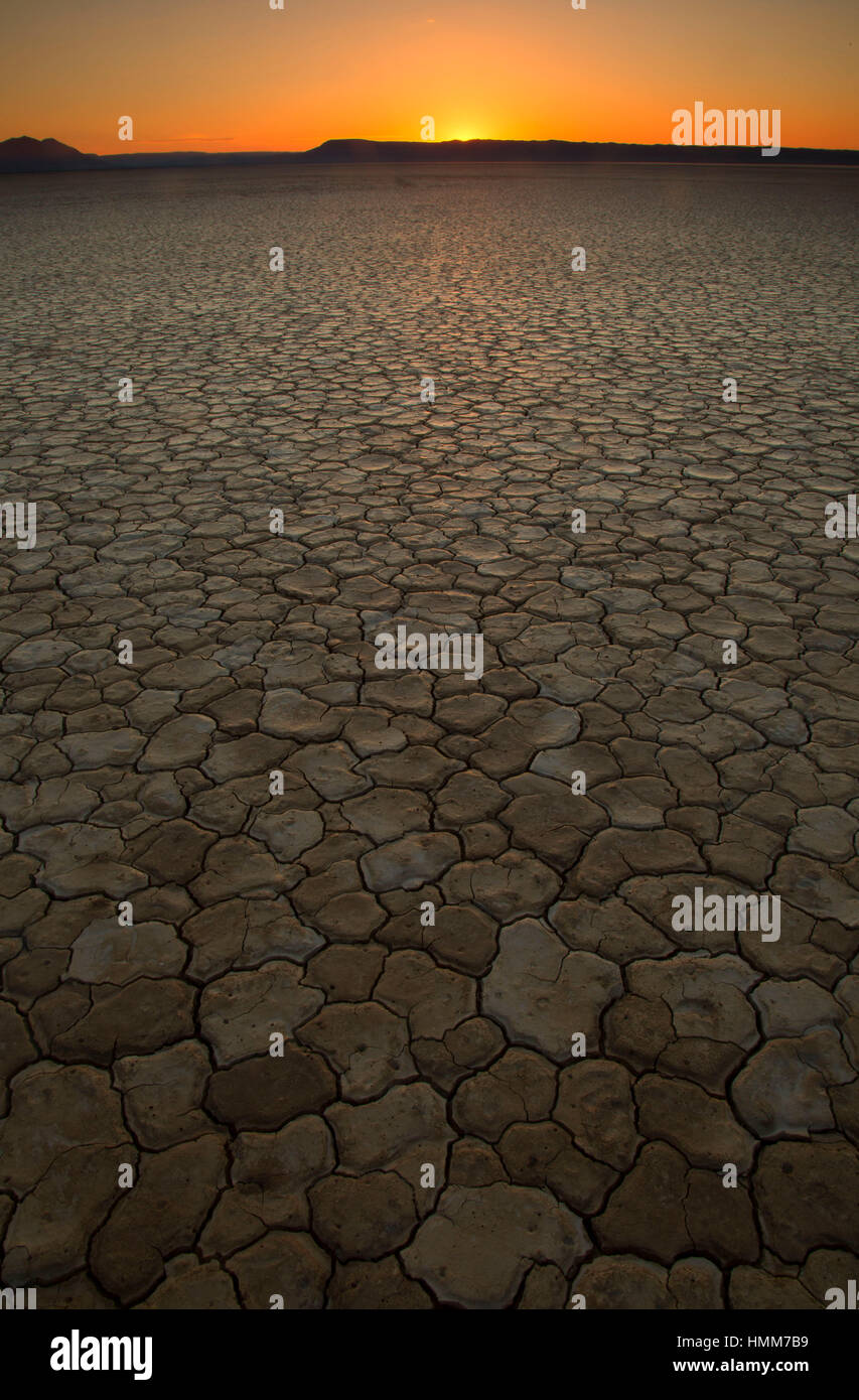 Le lever du soleil, Alvord Désert Zone d'étude, de l'est Tour Route Steens, Burns District Bureau de la gestion des terres, de l'Oregon Banque D'Images