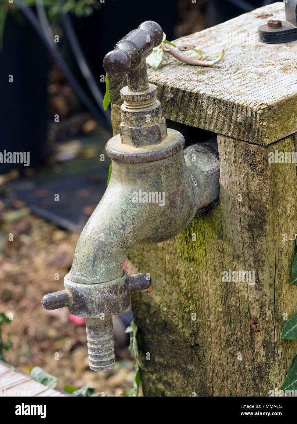 Jardin extérieur d'un robinet d'eau Banque D'Images