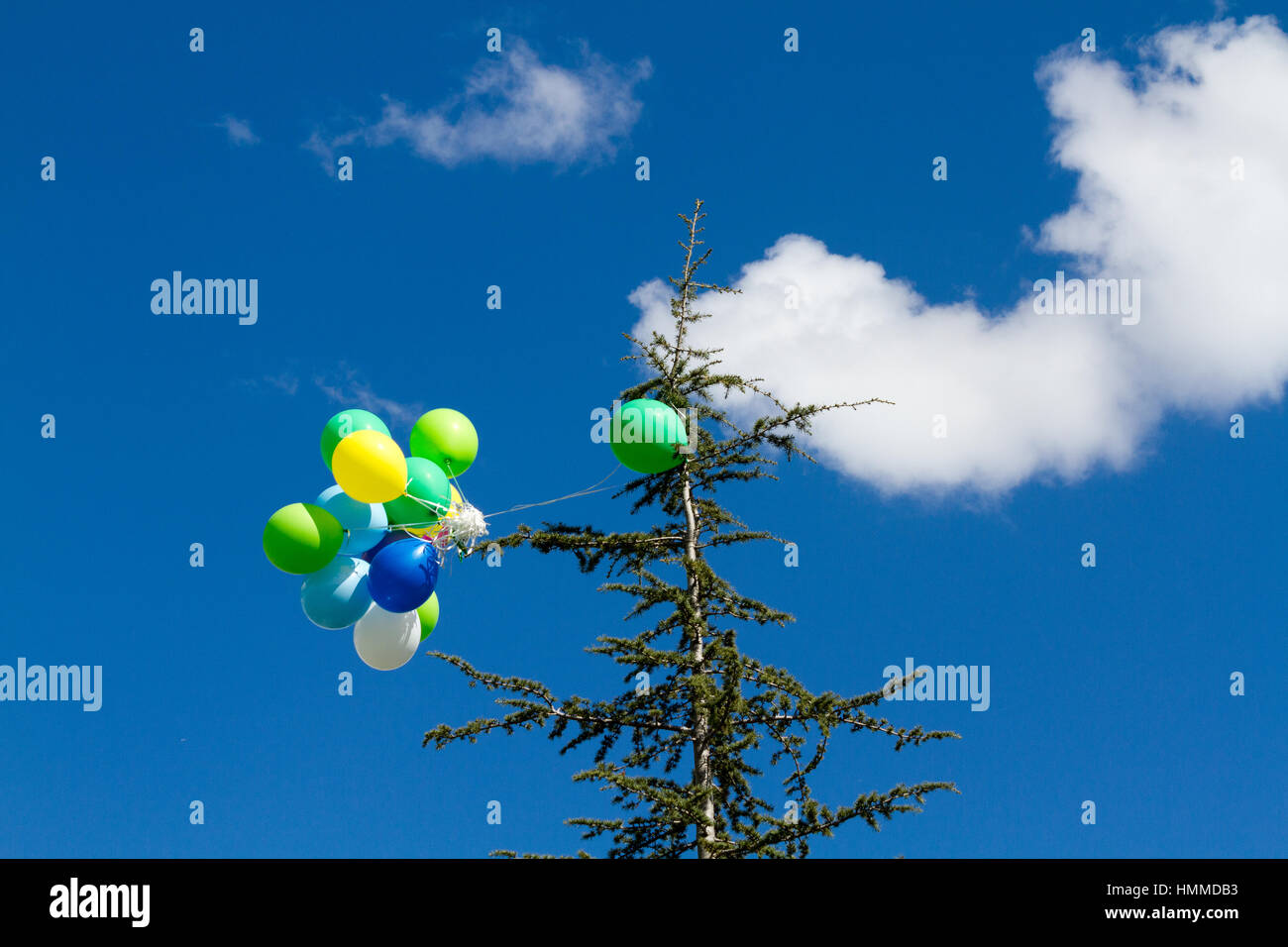 De nombreux baloons lumineux dans le ciel bleu Banque D'Images