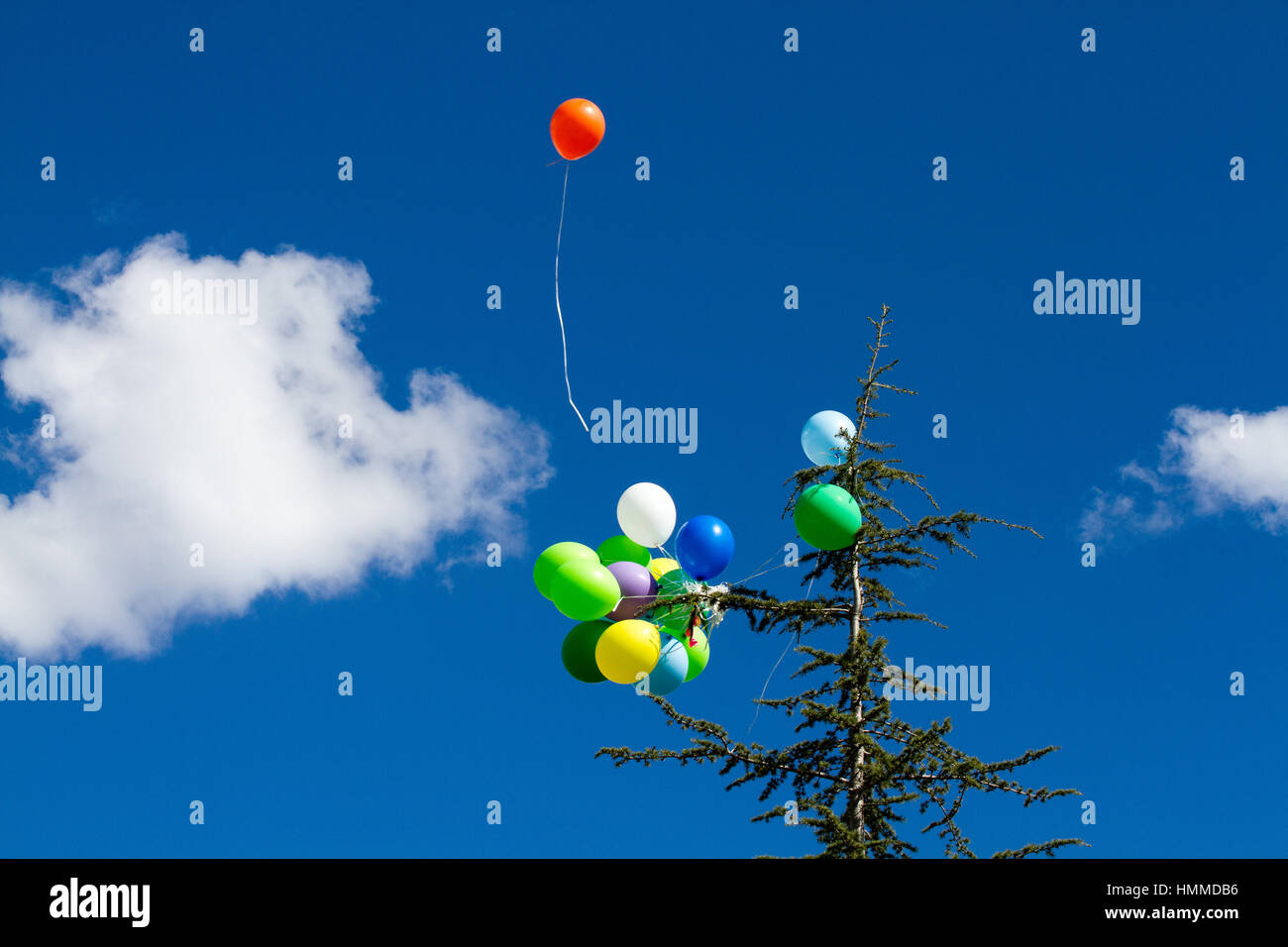 De nombreux baloons lumineux dans le ciel bleu Banque D'Images