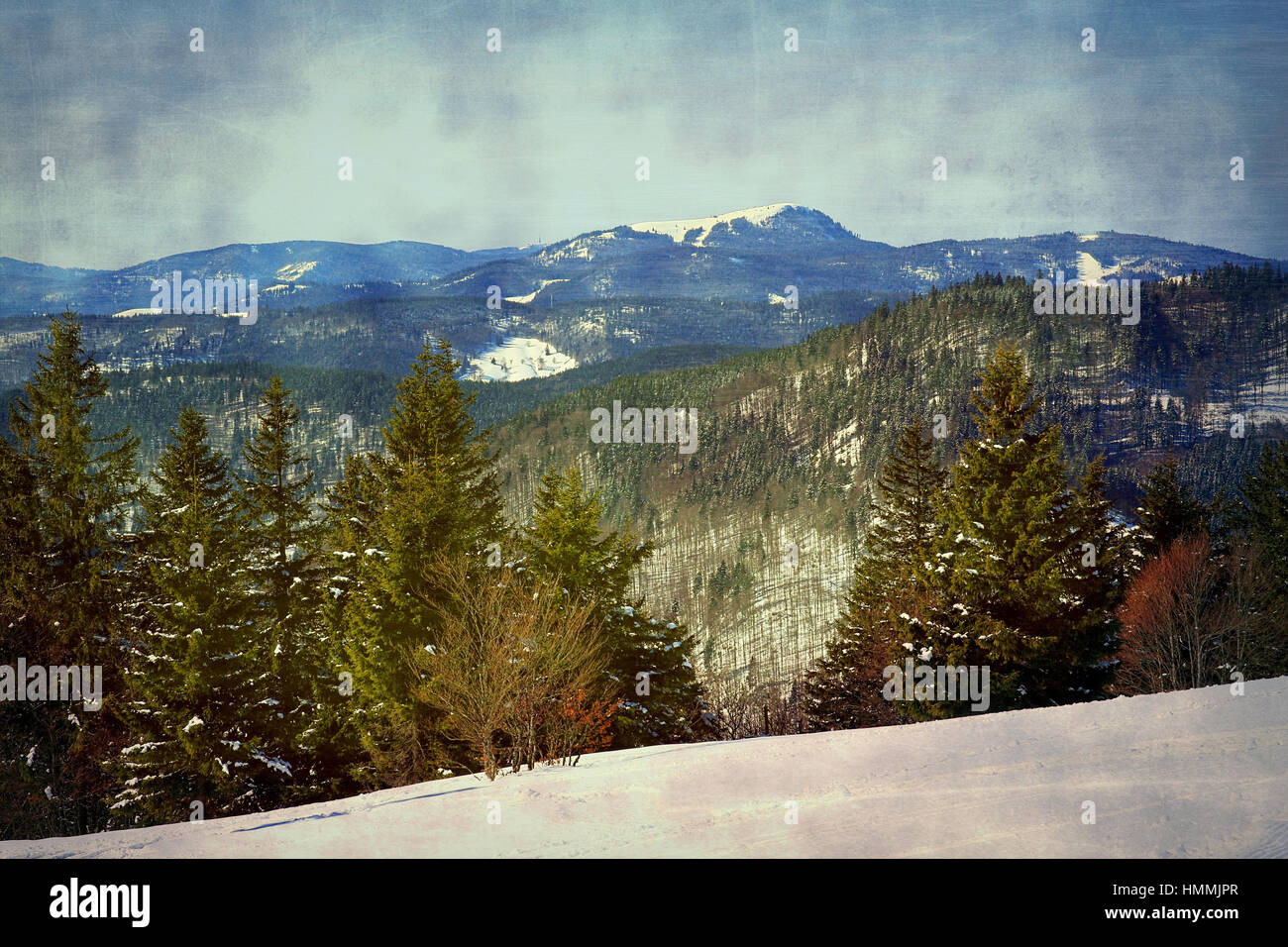 FELDBERG / FORÊT-NOIRE, hôtel Feldbergerhof avec panorama de montagne