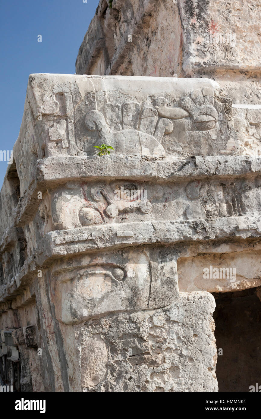 Gros plan sur la sculpture en pierre des ruines mayas de Tulum, parc national de Tulum, Riviera Maya, péninsule du Yucatan, État mexicain de Quintana Roo, Mexique Banque D'Images