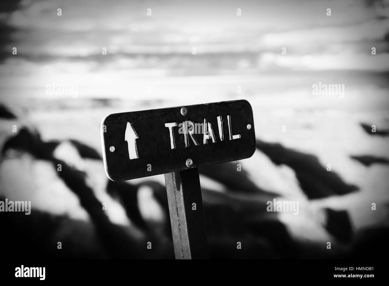 Un sentier rustique signer plane sur une vue panoramique dans la région de Parc National Arches dans l'Utah. Une flèche blanche indique le sens le voyageur doit aller. Banque D'Images