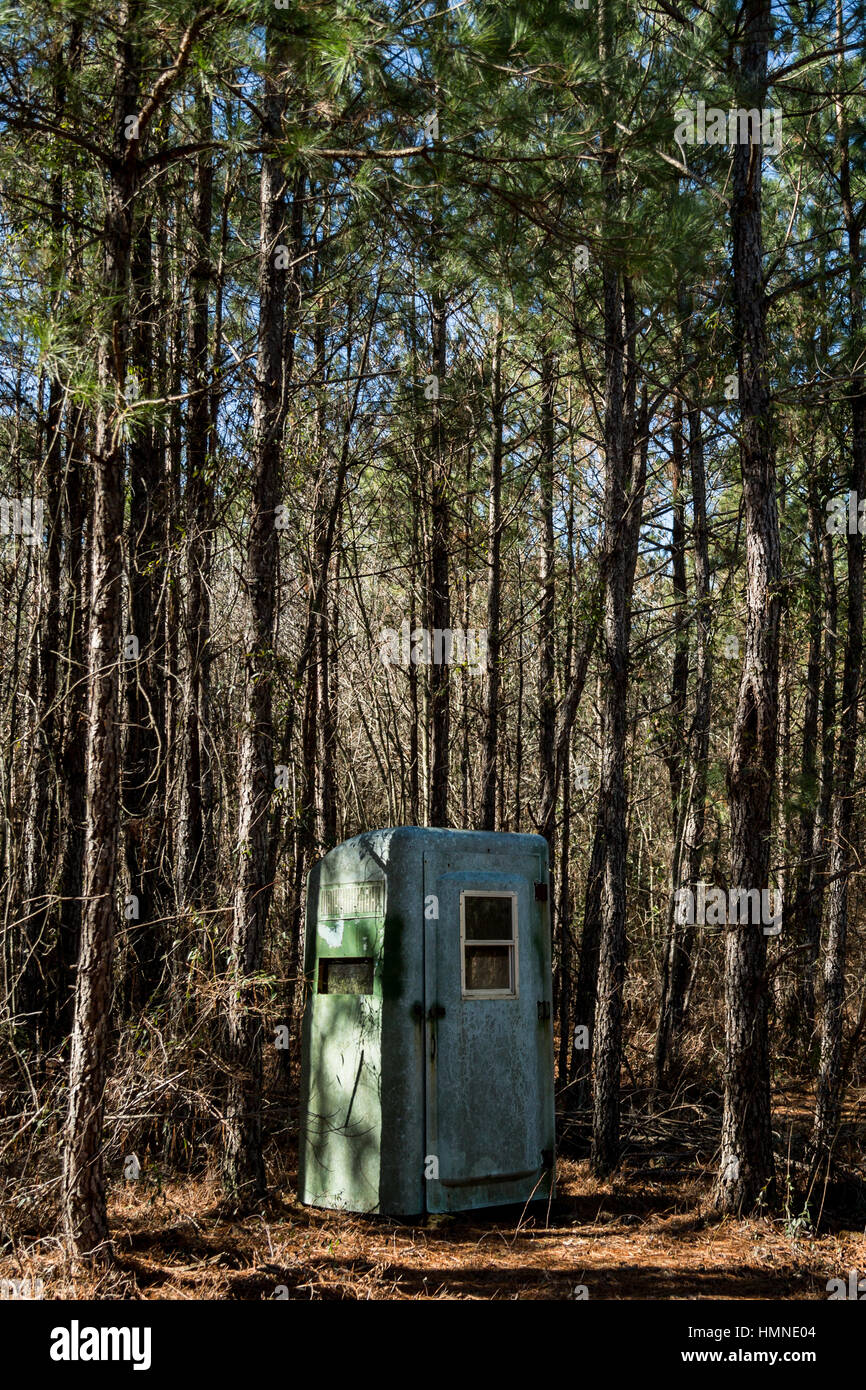 Une salle de bains portable transformé en un stand de chasse dans une forêt de pins à Autryville, NC. Banque D'Images