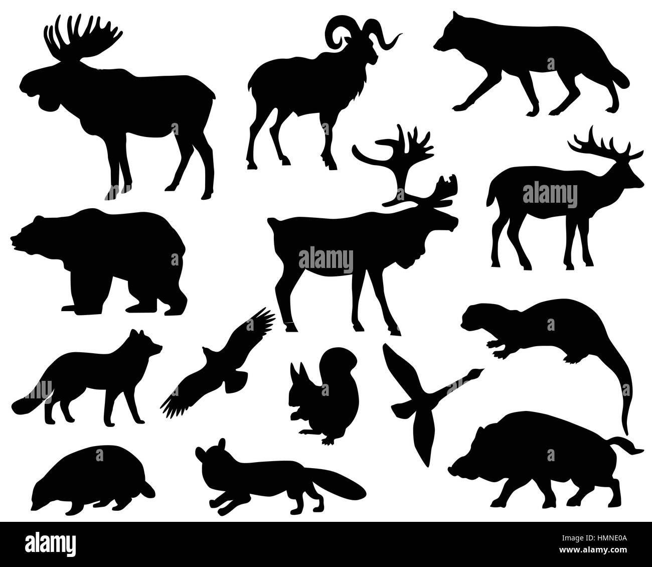 Collection de silhouettes d'animaux vivant sur le territoire de l'Europe Illustration de Vecteur