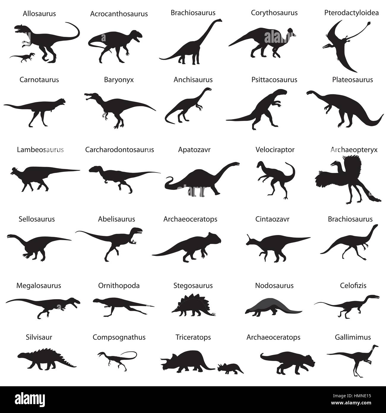 Collection de silhouettes de dinosaures avec des noms Illustration de Vecteur