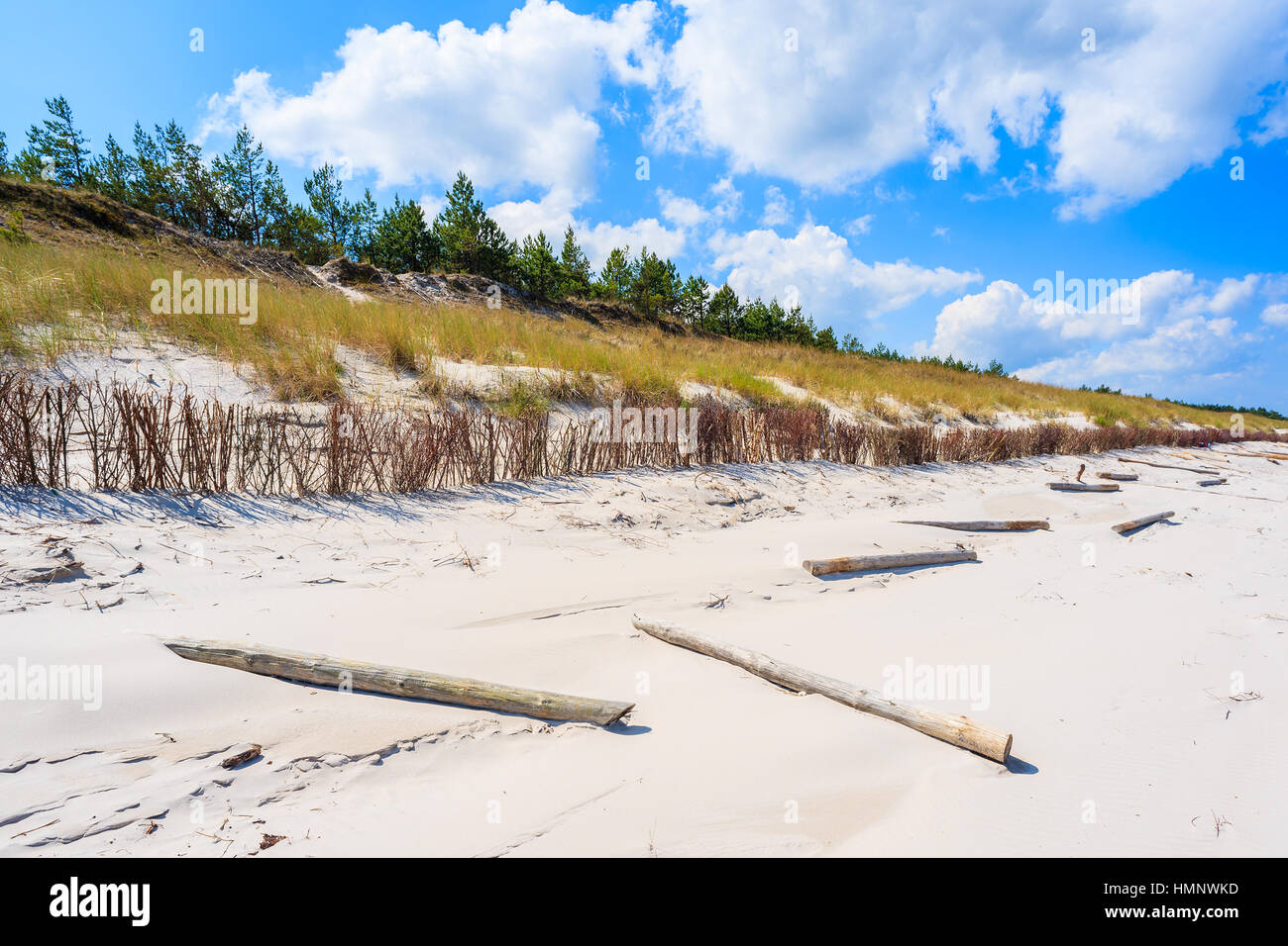 Clôture en bois poteaux sur plage de sable blanc en Lubiatowo, mer Baltique, Pologne Banque D'Images