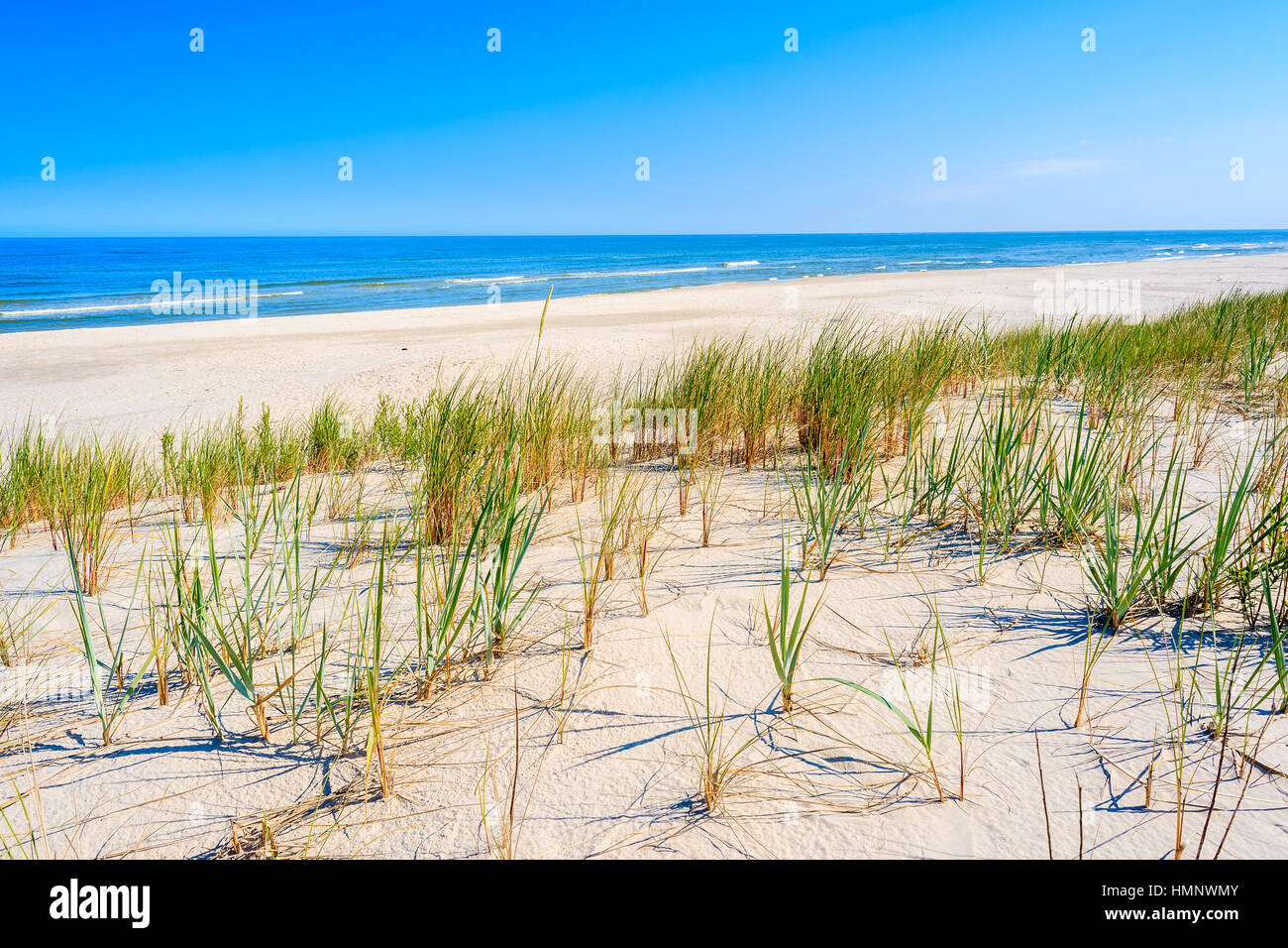 L'herbe verte sur dune de sable donnant sur la magnifique plage Lubiatowo, mer Baltique, Pologne Banque D'Images