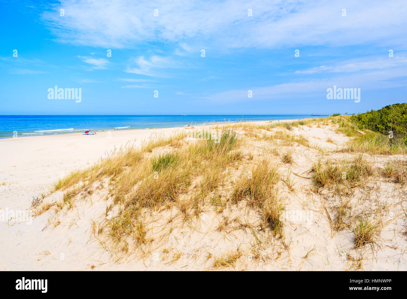 L'herbe sur dune de sable sur la plage de la mer Baltique, Lubiatowo, Pologne Banque D'Images