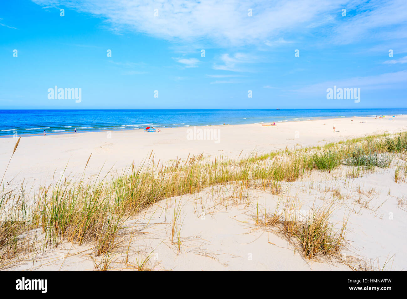L'herbe sur dune de sable sur la plage de la mer Baltique, Lubiatowo, Pologne Banque D'Images