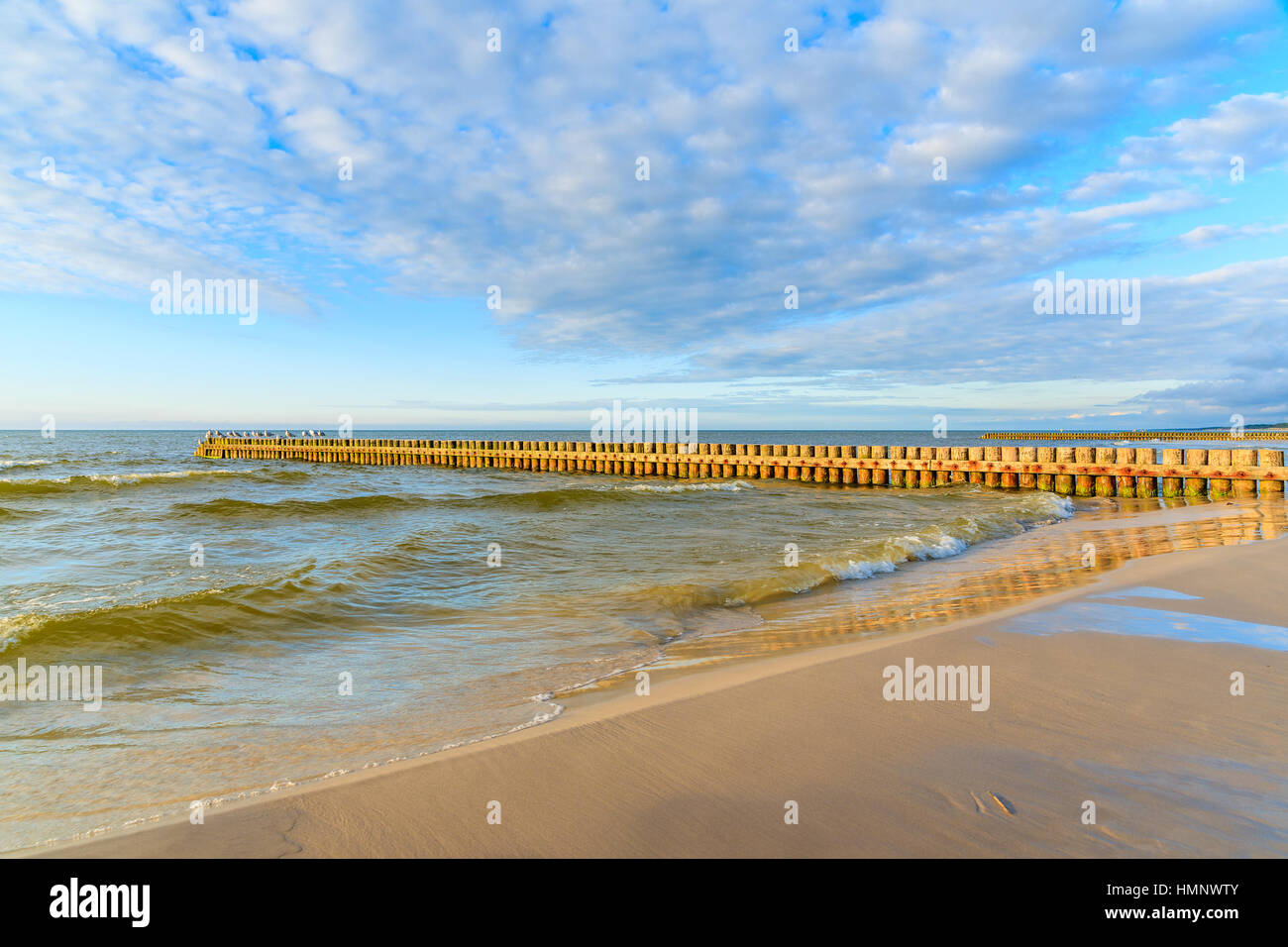 Les brise-lames en bois sur Leba plage en journée ensoleillée avec des nuages, la mer Baltique, la Pologne Banque D'Images