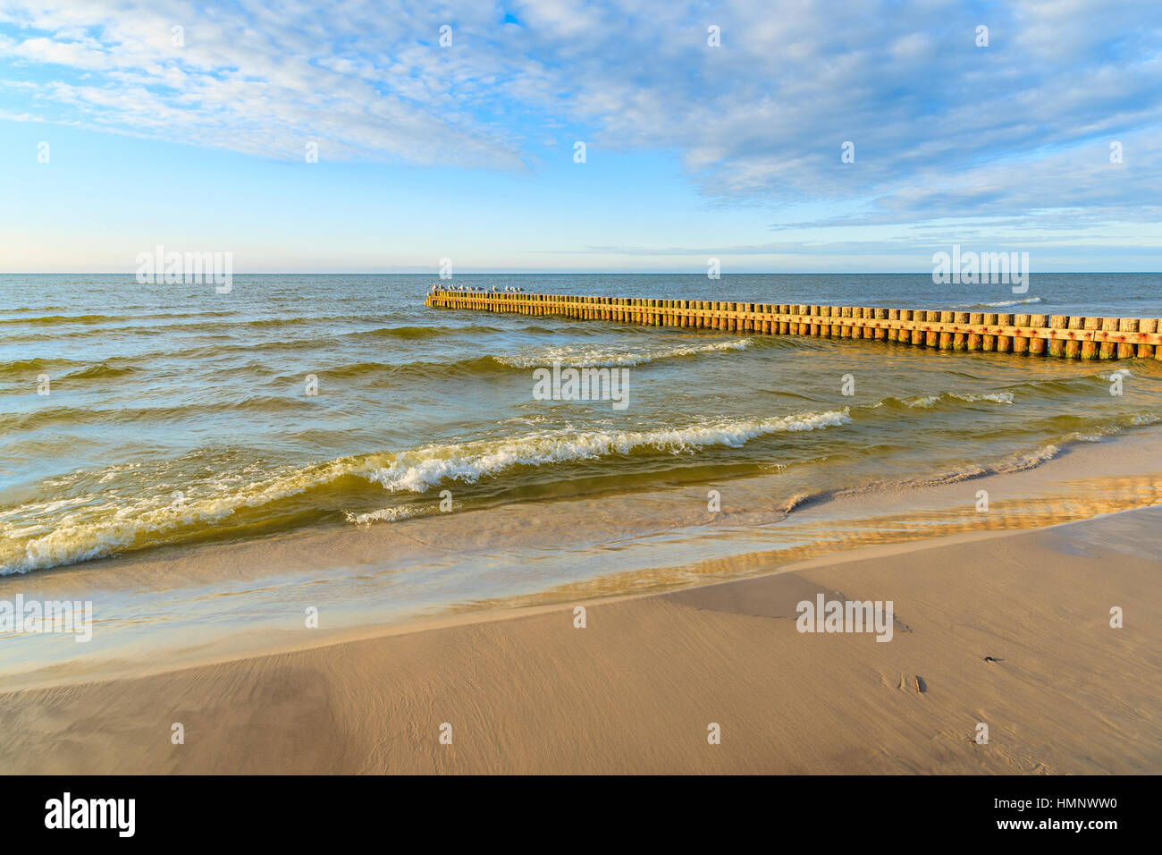Les brise-lames en bois sur Leba plage en journée ensoleillée avec des nuages, la mer Baltique, la Pologne Banque D'Images