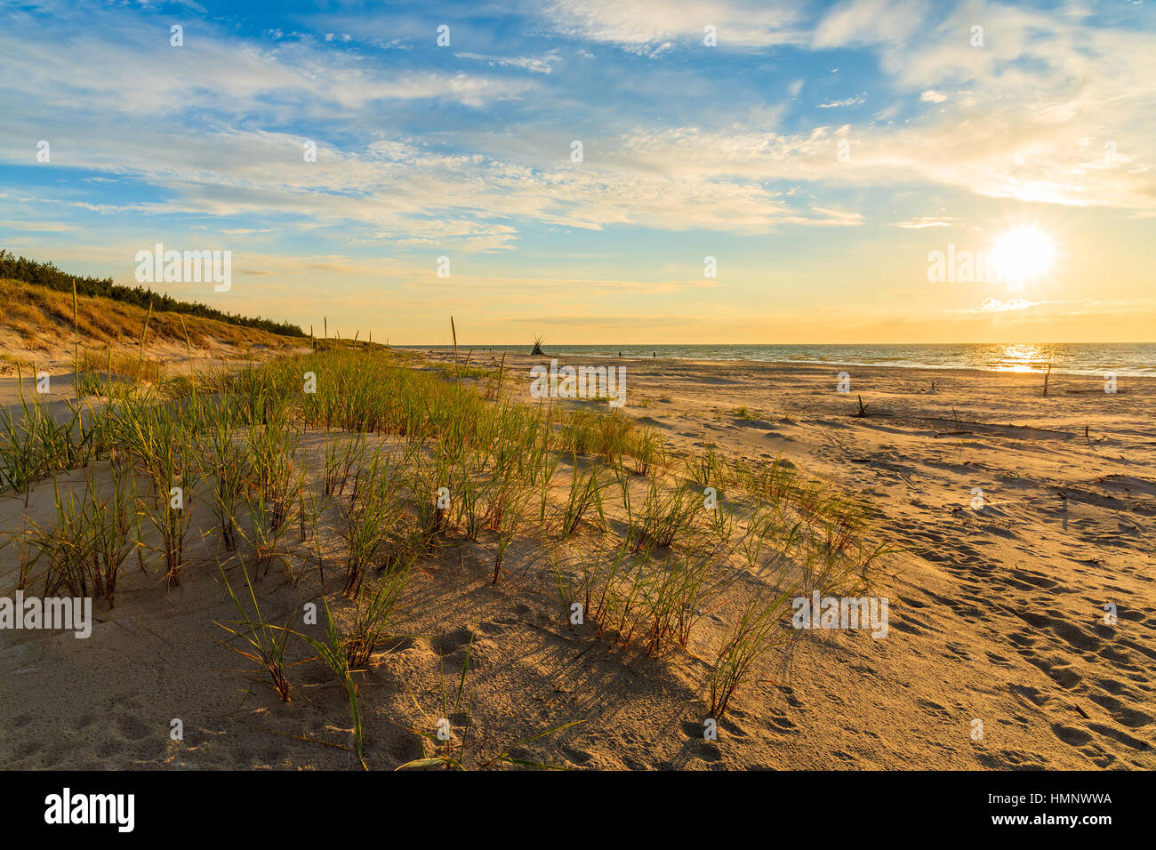 L'herbe sur dune de sable au coucher du soleil, plage de la mer Baltique, Leba, Pologne Banque D'Images