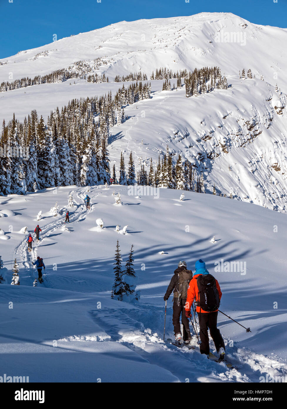 Retour skieurs de peaux synthétiques pour grimper ; Esplanade Plage ; montagnes près de Selkirk Lodge Sentry à distance ; British Columbia, Canada Banque D'Images