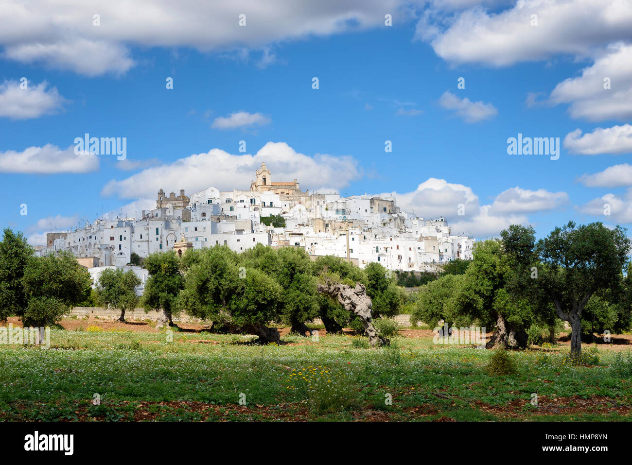 Paysage dans les Pouilles, en Italie, avec la ville blanche (citta bianca Ostuni) sur une colline au-dessus d'un olivier verger sous un ciel nuageux. Banque D'Images