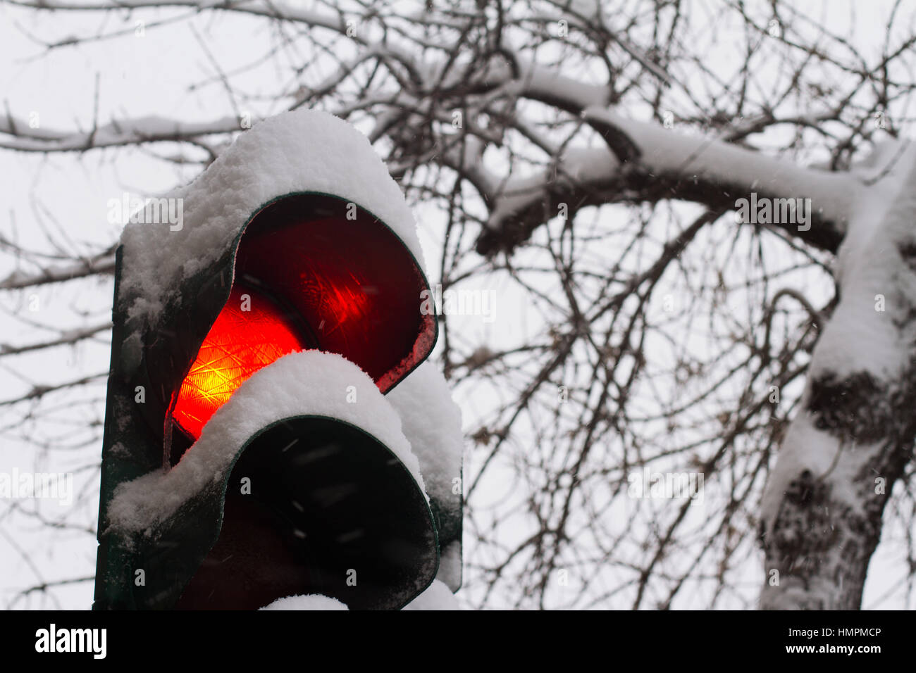 Près de cesser le feu rouge recouverts de neige en hiver, avec des arbres en arrière-plan Banque D'Images