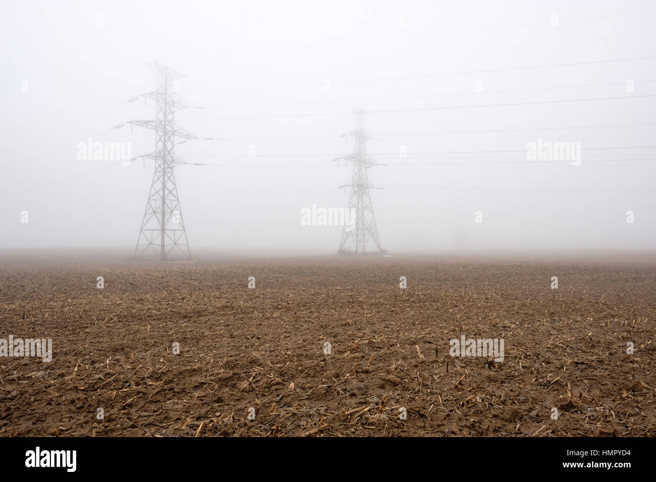 Deux tours de la ligne d'alimentation / pylônes dans un champ agricole sous un épais brouillard dans le sud-ouest de l'Ontario, Canada. Banque D'Images