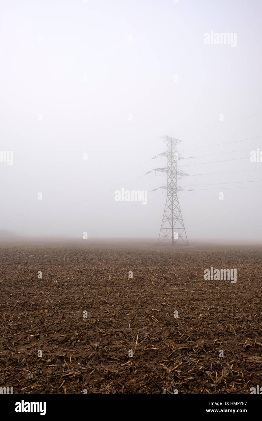 Une tour de transmission de puissance / pylône dans un champ agricole sous un épais brouillard dans le sud-ouest de l'Ontario, Canada. Banque D'Images