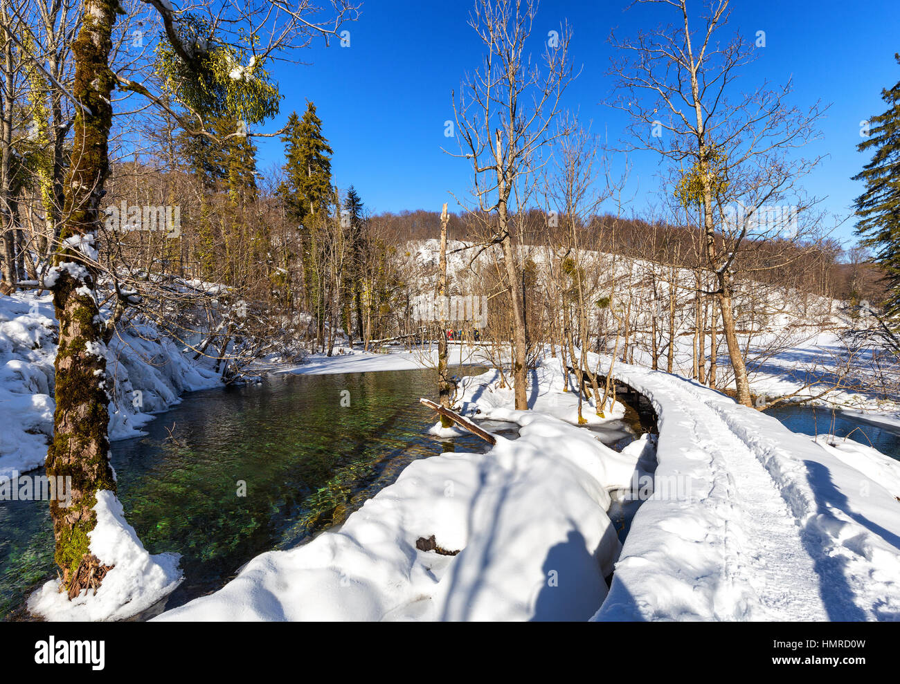 En hiver, les lacs de Plitvice, Croatie, Europe Banque D'Images