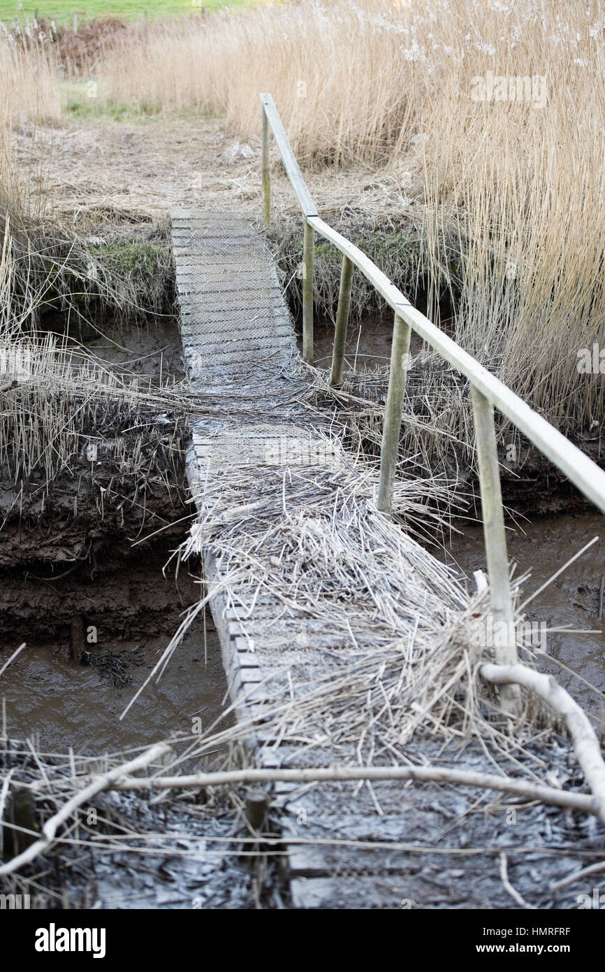 Pied en bois pont au-dessus du ruisseau et marais Banque D'Images