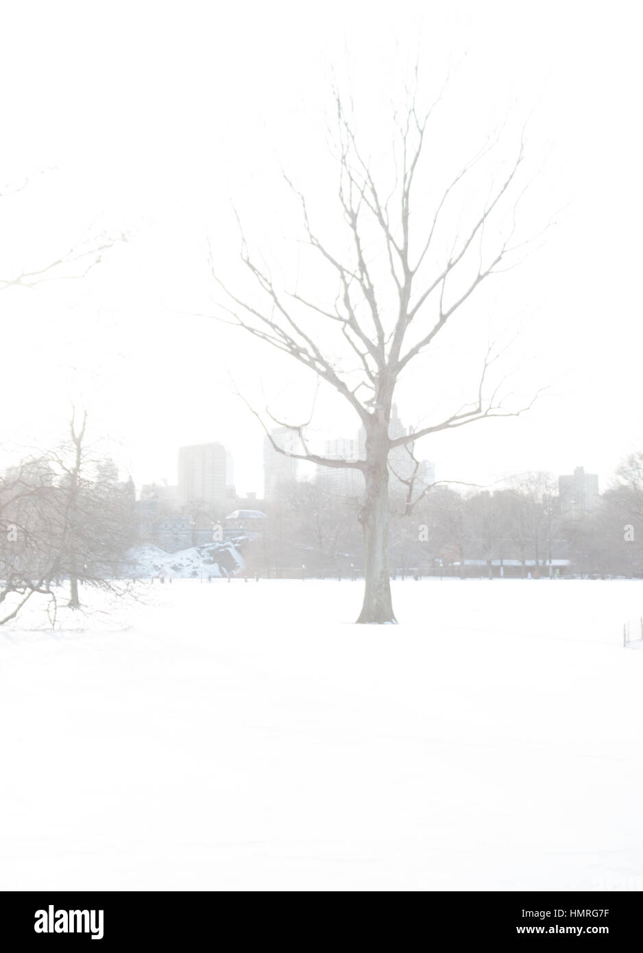 Blanc d'hiver, dans la ville de New York Banque D'Images