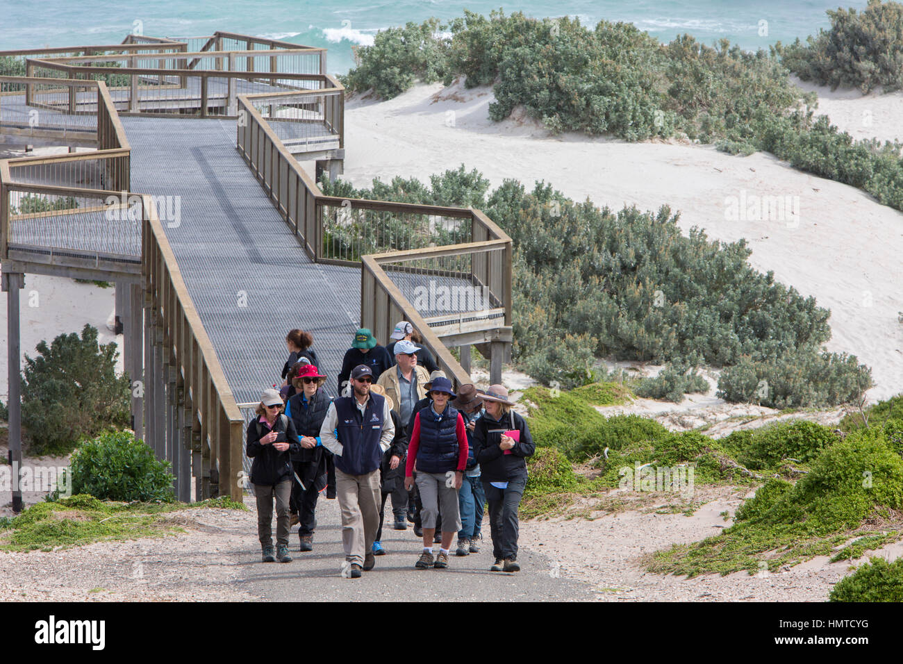 Tour guide conduit les visiteurs de voir les joints à Seal Bay sur Kangaroo Island, Australie du Sud Banque D'Images