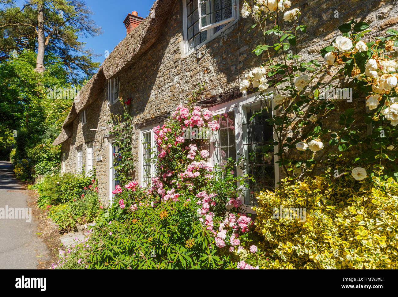Jolie maison en pierre au toit de chaume avec des roses rose par les fenêtres de Evershot, un petit village en pays de Thomas Hardy, Dorset, dans le sud de l'Angleterre, en été Banque D'Images