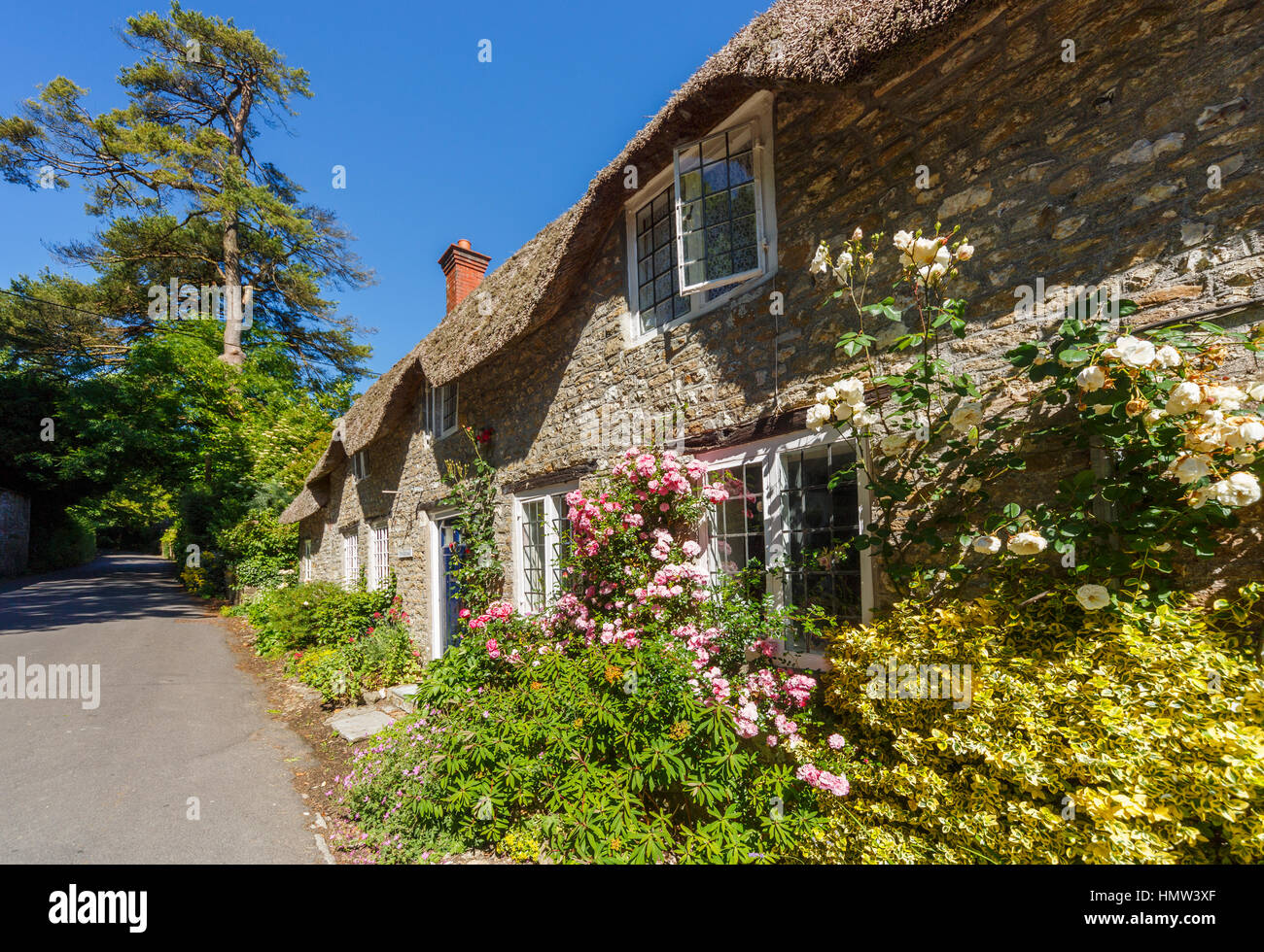 Jolie maison en pierre au toit de chaume avec des roses rose par les fenêtres de Evershot, un petit village en pays de Thomas Hardy, Dorset, dans le sud de l'Angleterre, en été Banque D'Images